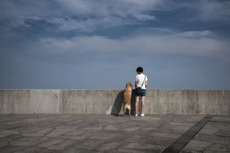 Nikon D3X sample photo