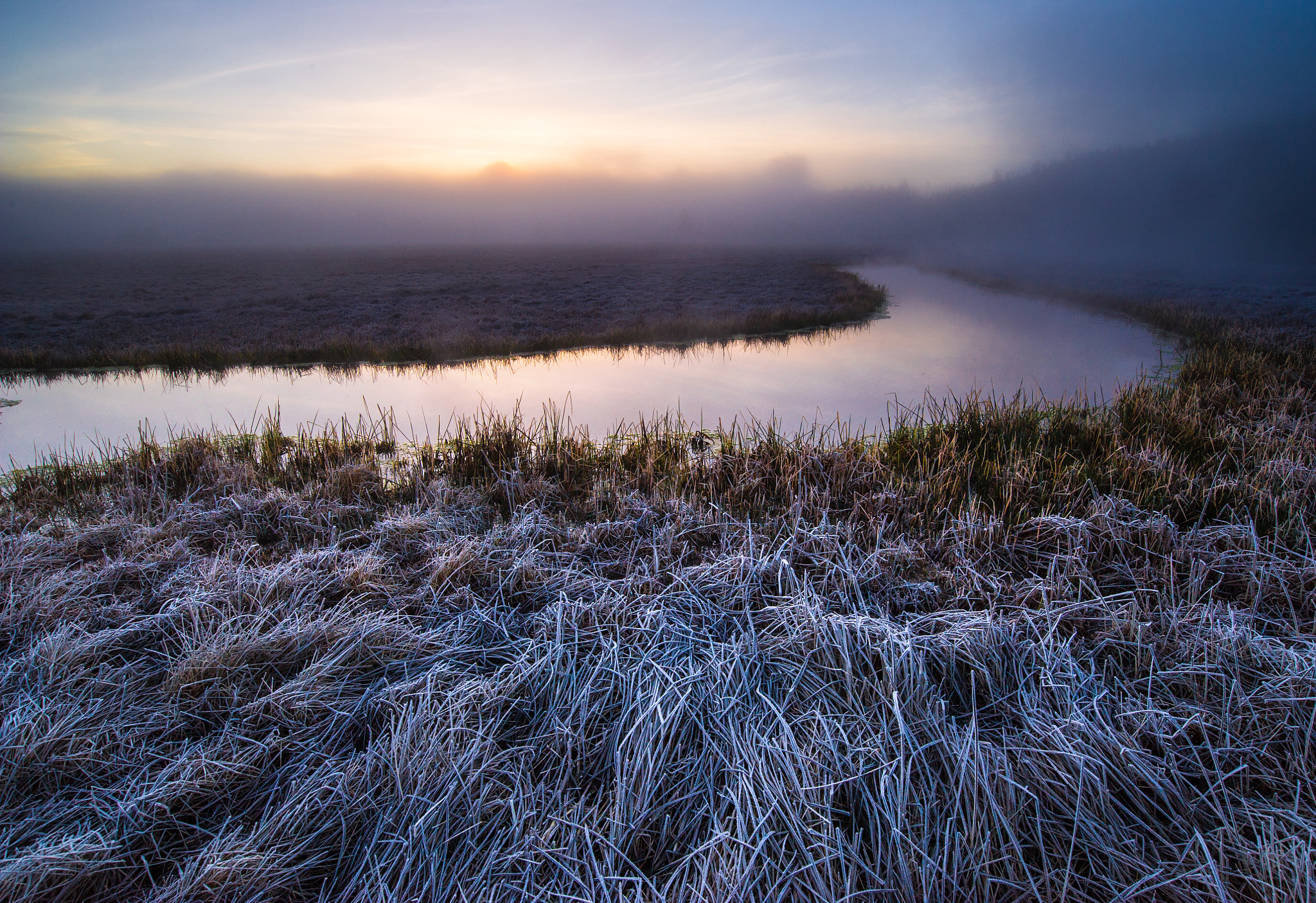 Nikon AF-S Nikkor 18-35mm F3.5-4.5G ED sample photo. Yellow horse photography photography