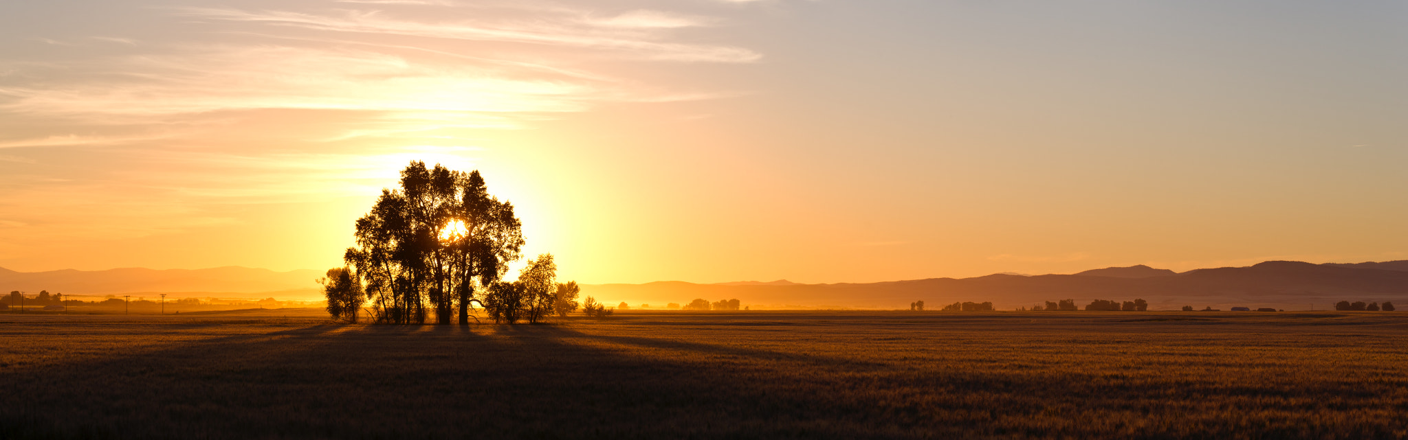 Nikon D3S sample photo. Yellow horse photography photography