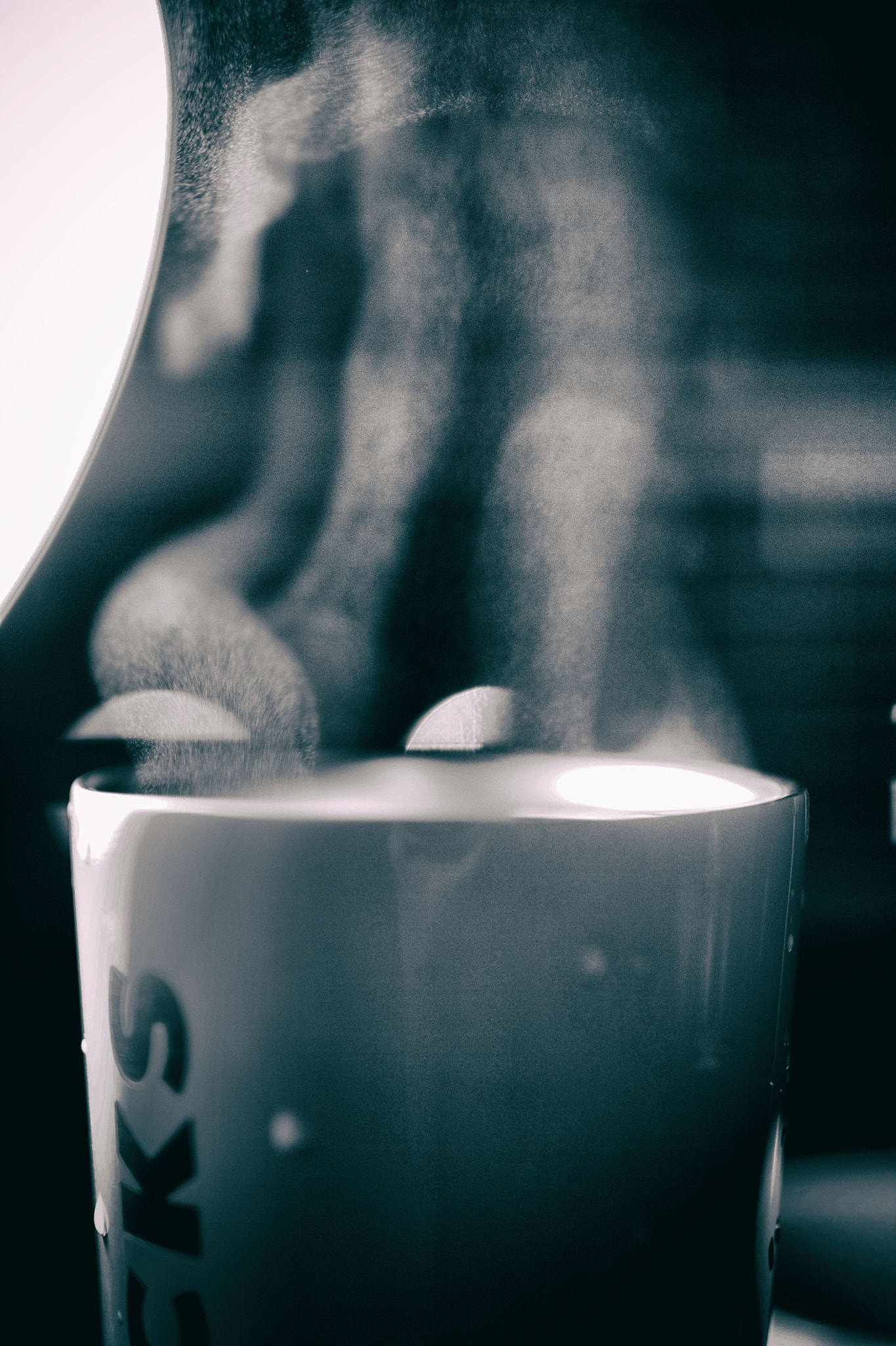 Canon EF 35mm F1.4L II USM sample photo. Img photography