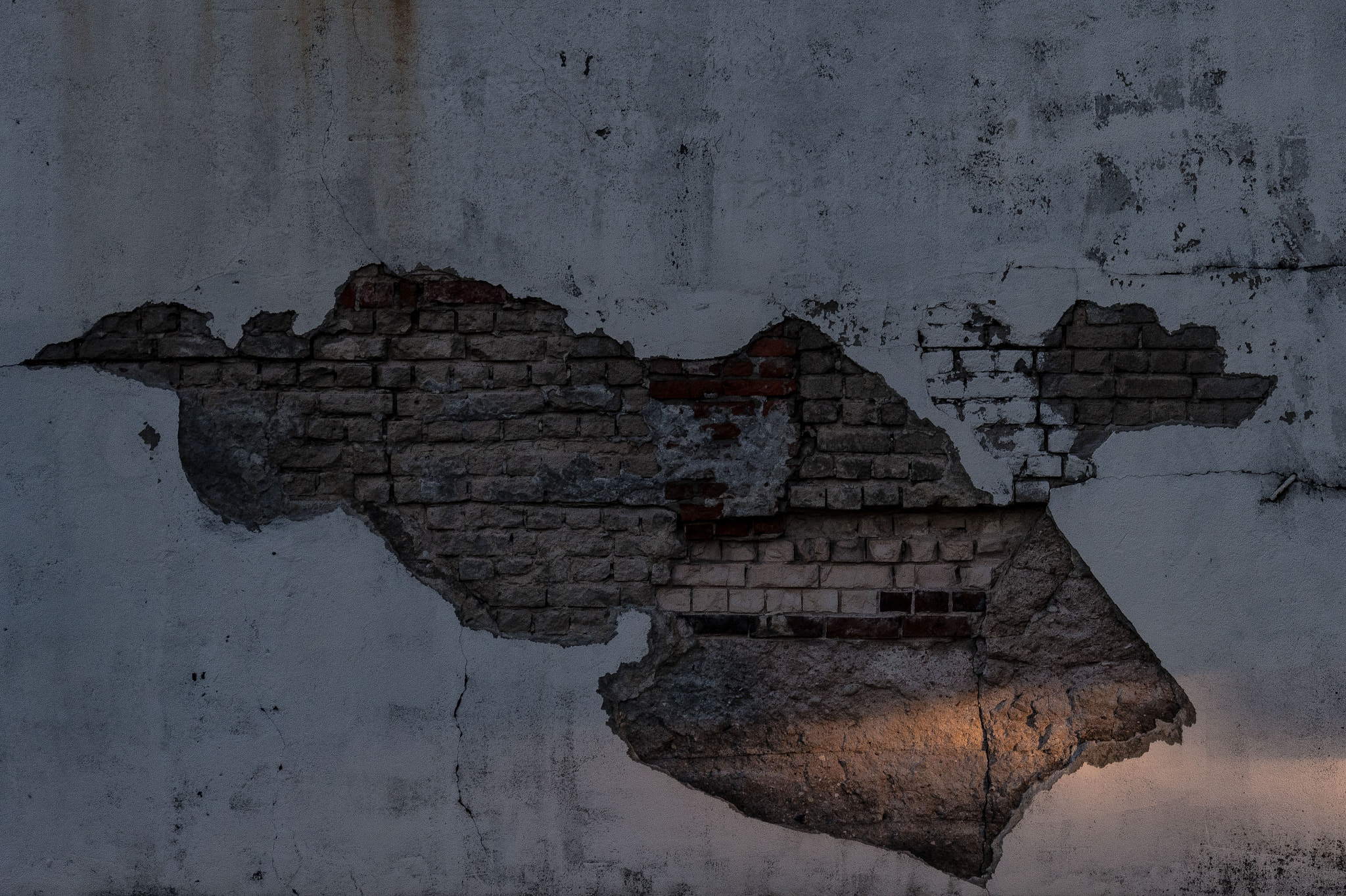 Nikon D500 sample photo. The wall ... photography