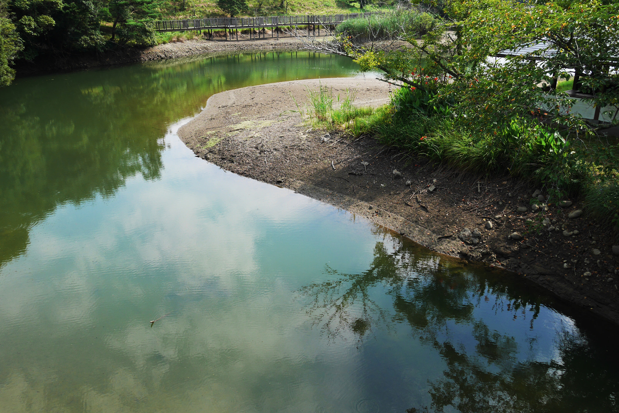 Panasonic Lumix DMC-GM5 sample photo. Pond photography