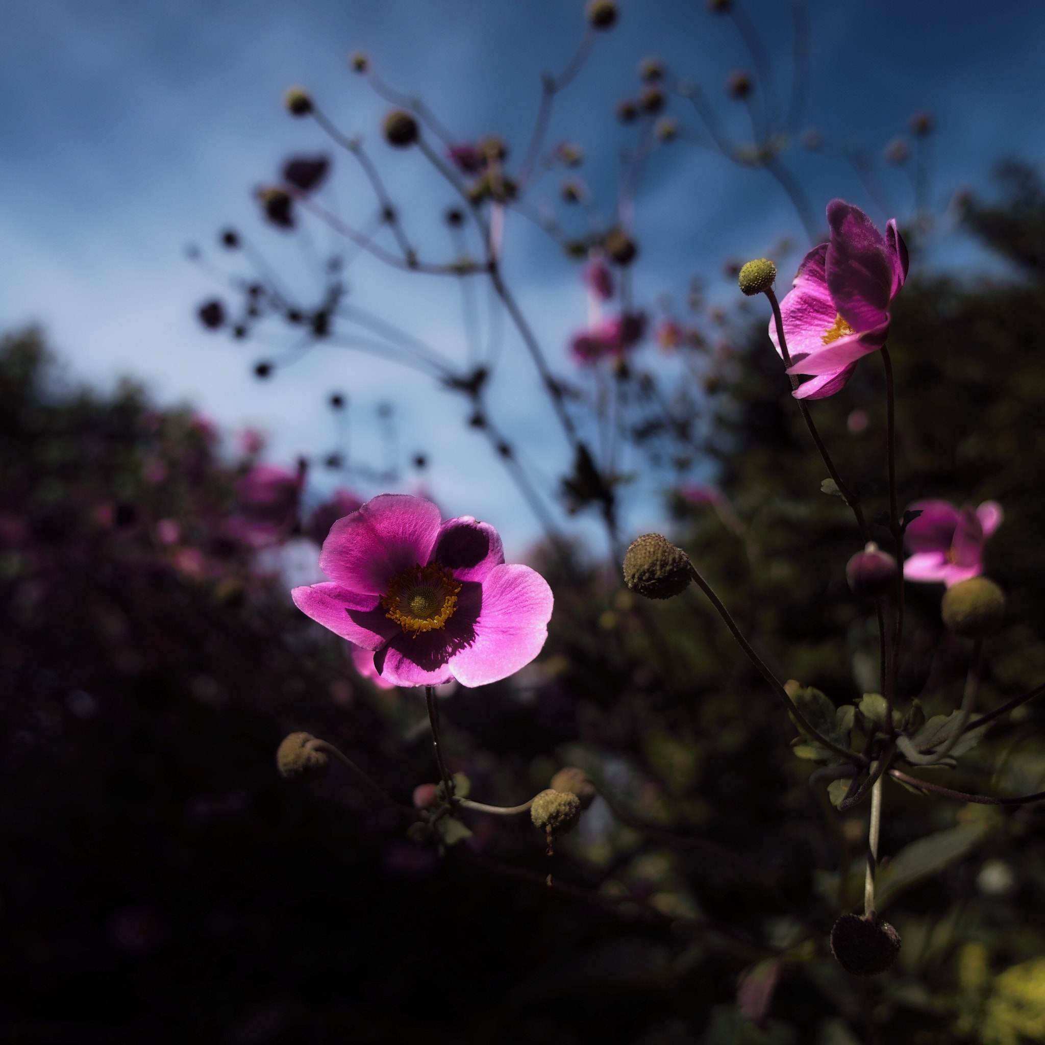 Panasonic Lumix G X Vario 12-35mm F2.8 ASPH Power OIS sample photo