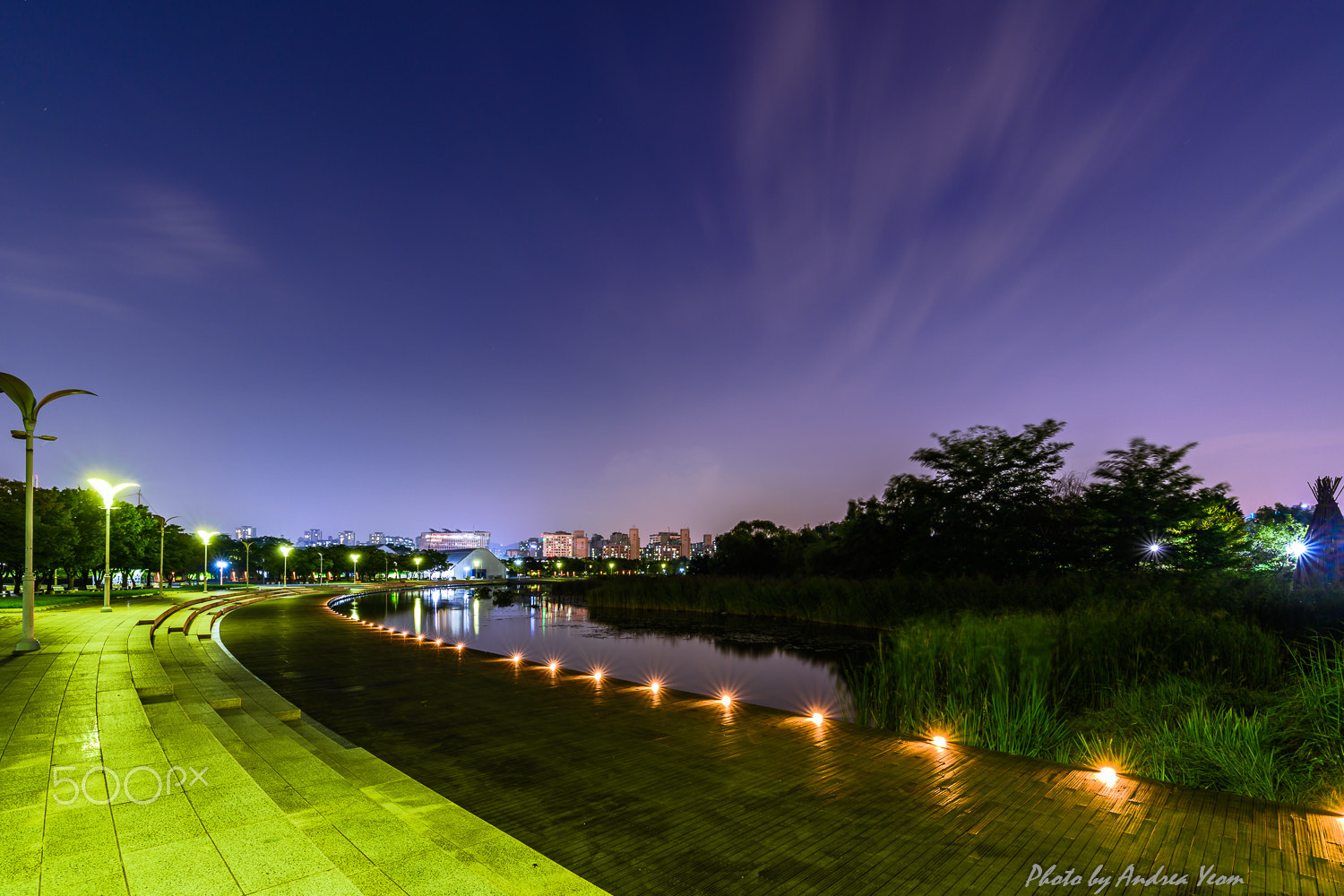 Nikon D5 + ZEISS Distagon T* 15mm F2.8 sample photo. In the park photography