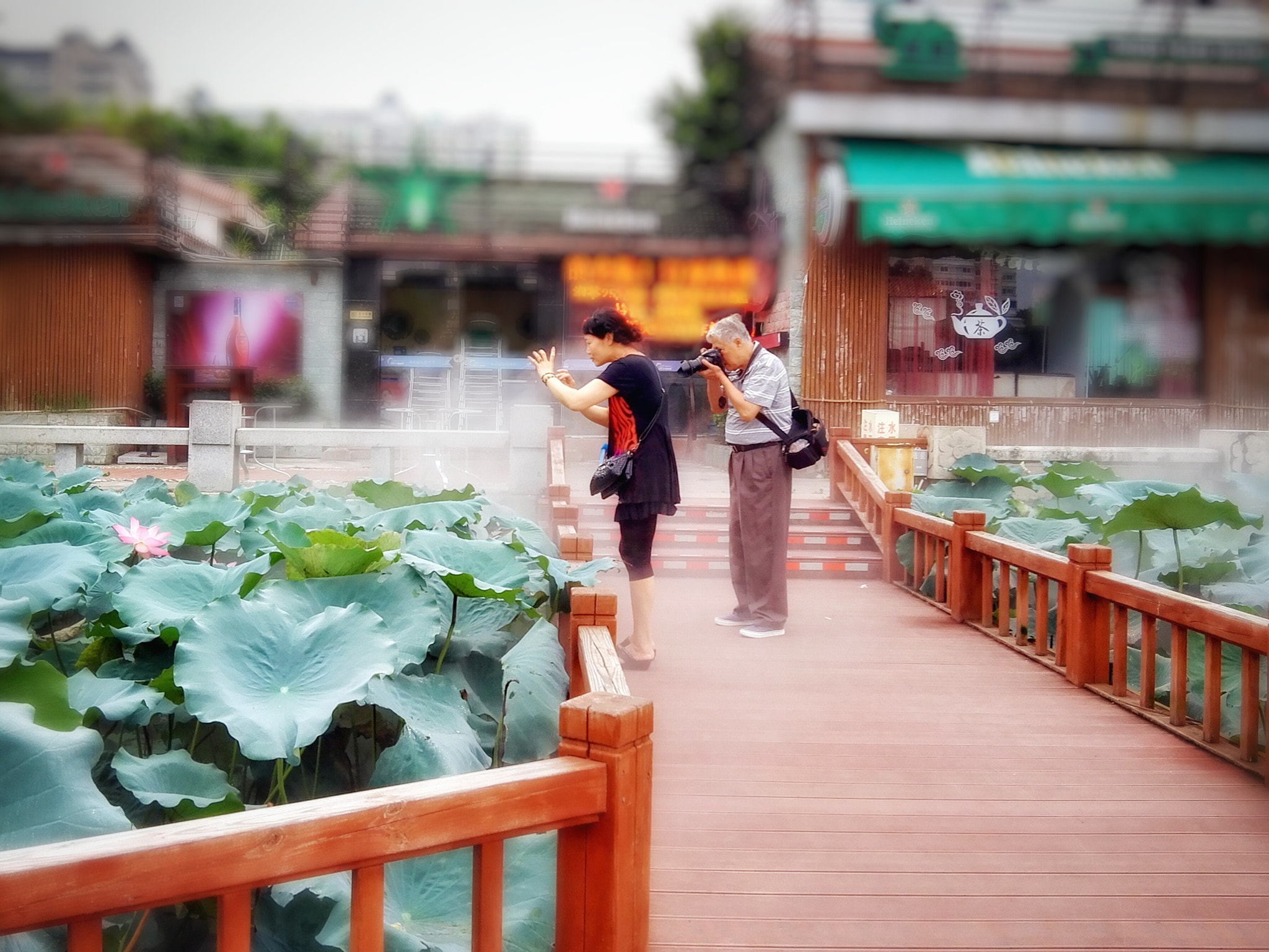 HUAWEI PE-CL00 sample photo. 荷花池相约 photography