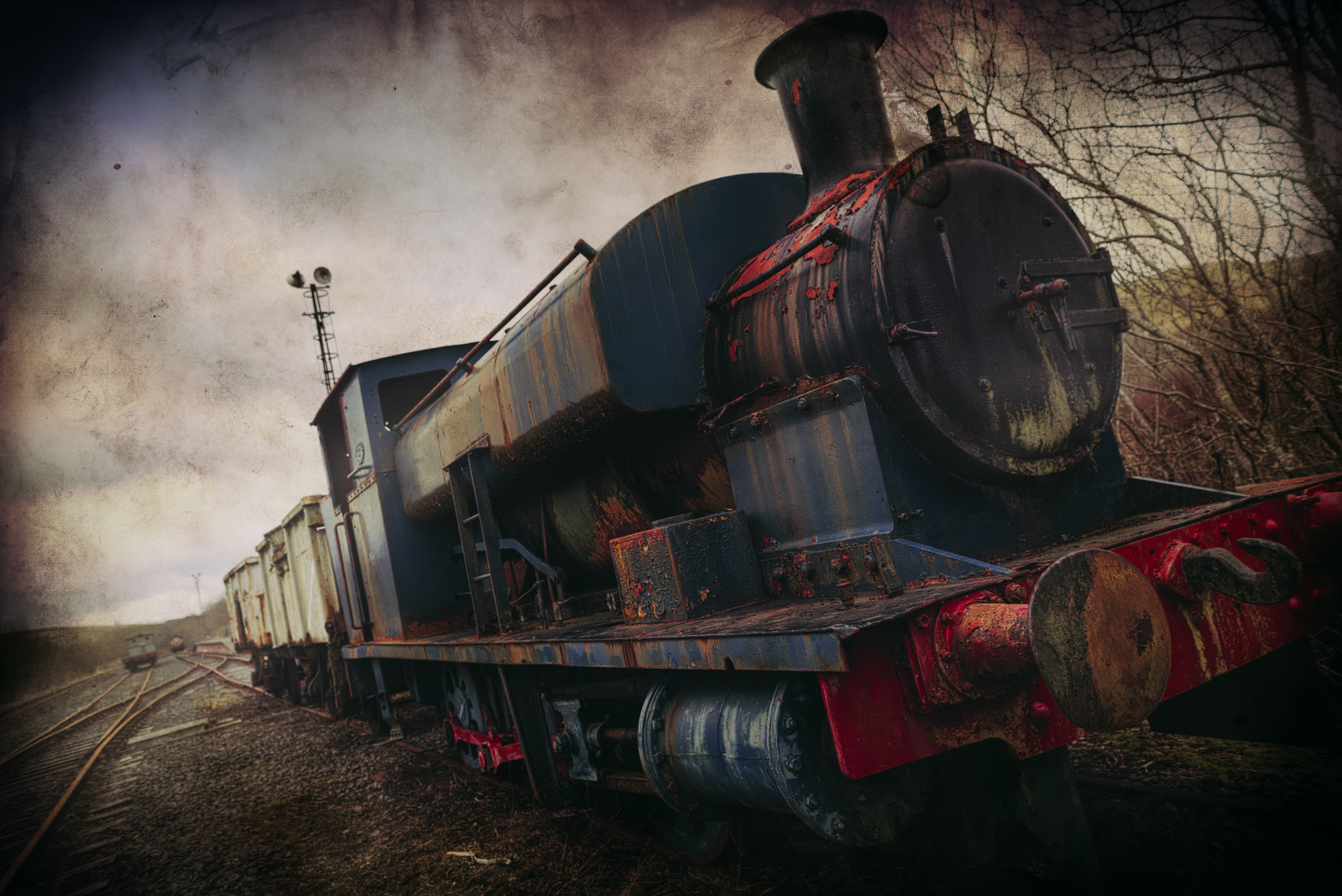 Scottish Thomas