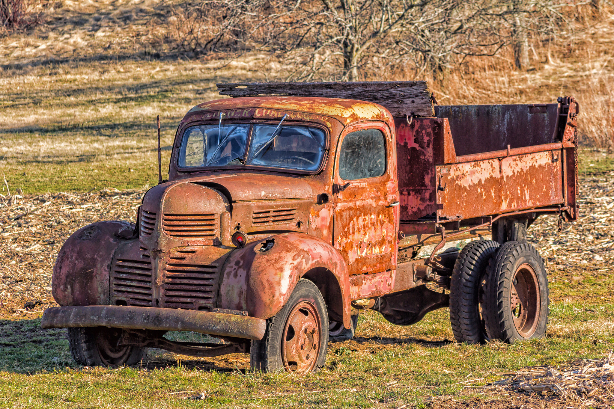 Canon EOS 60D + Canon EF 70-210mm f/3.5-4.5 USM sample photo. Vintage photography