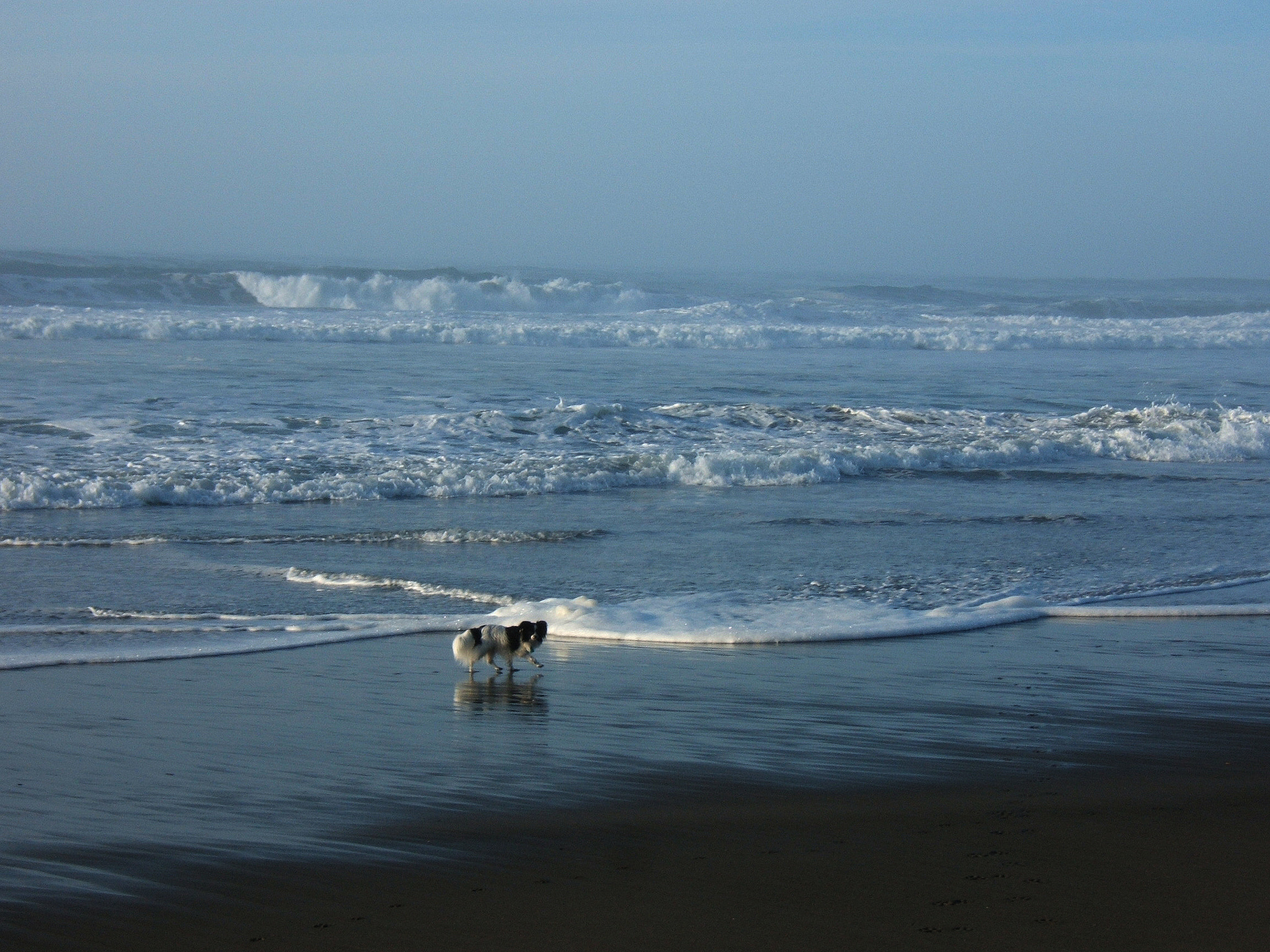 Fujifilm FinePix E500 sample photo. Alvin on the beach photography