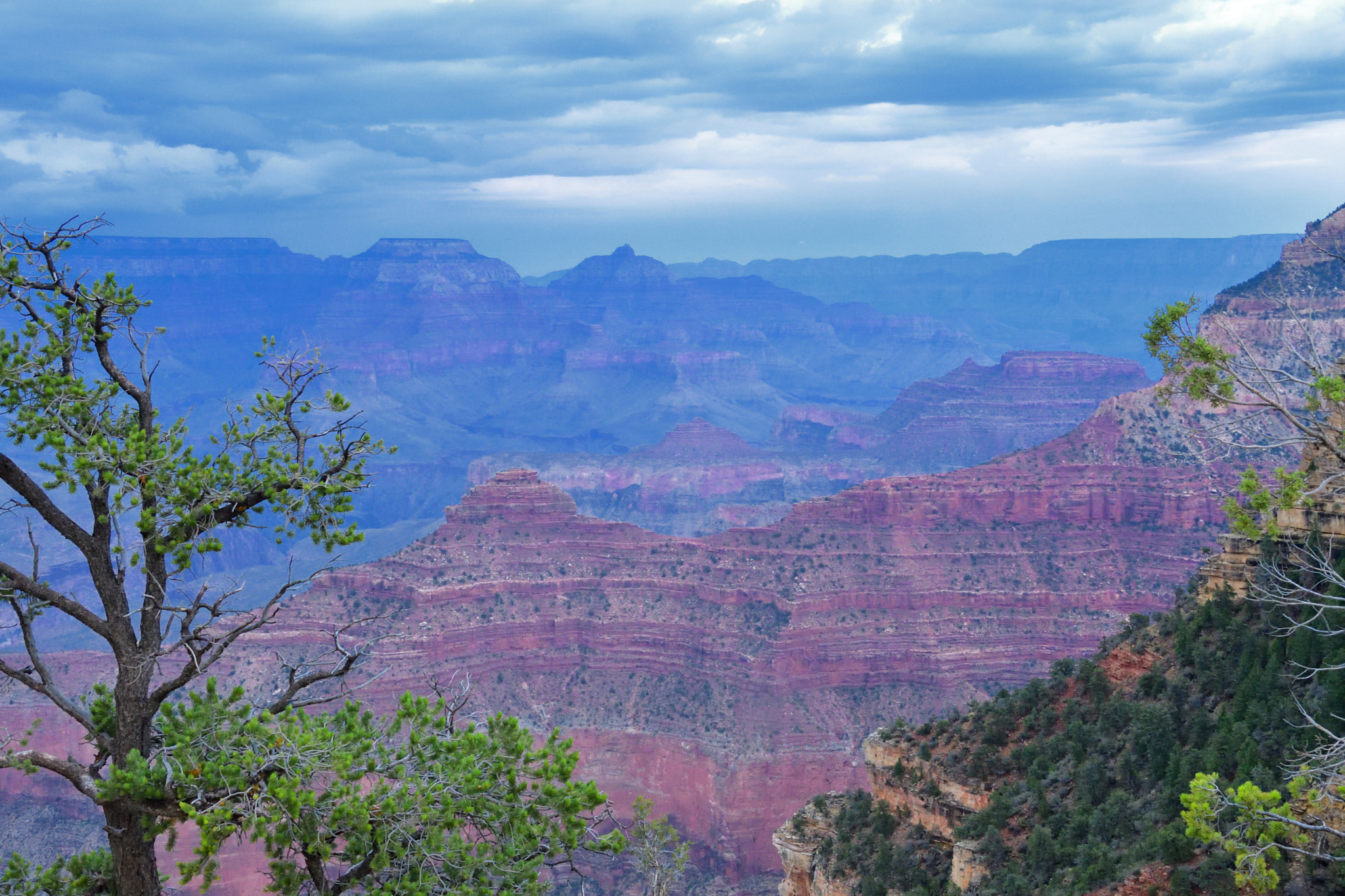 Nikon D500 sample photo. Ptp photography