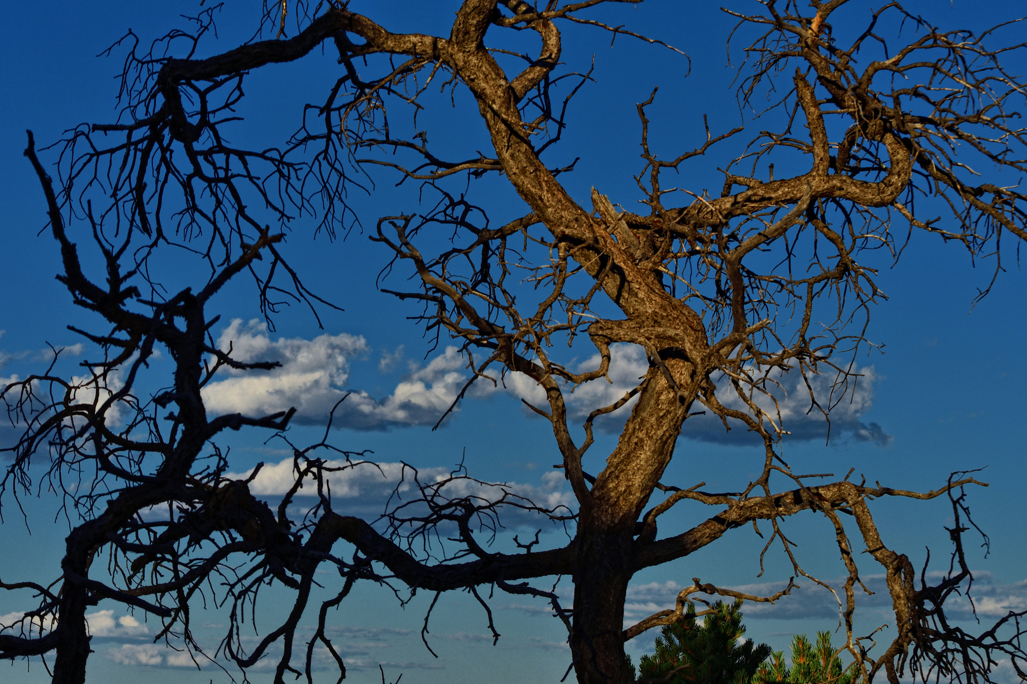Nikon D500 sample photo. Ptp photography