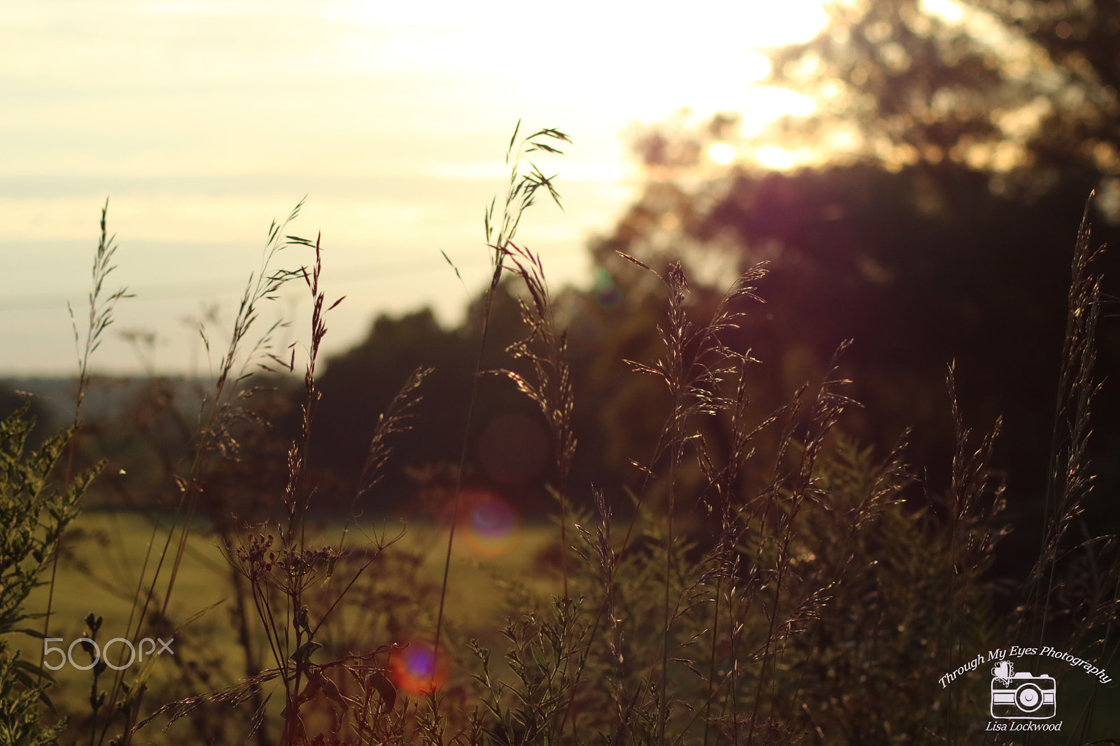 Canon EOS 750D (EOS Rebel T6i / EOS Kiss X8i) sample photo. Img photography