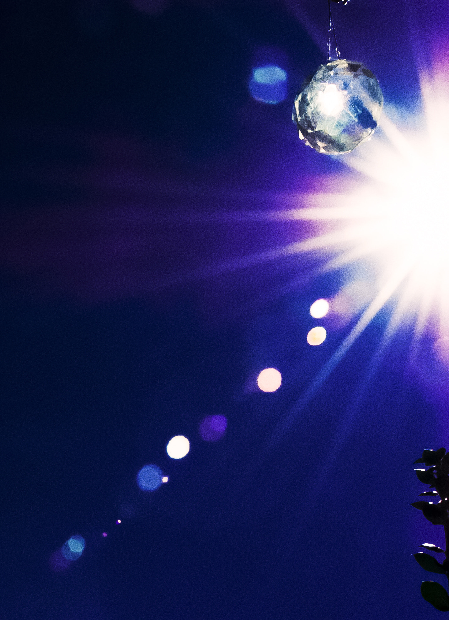 Nikon D3000 sample photo. Ball prism photography