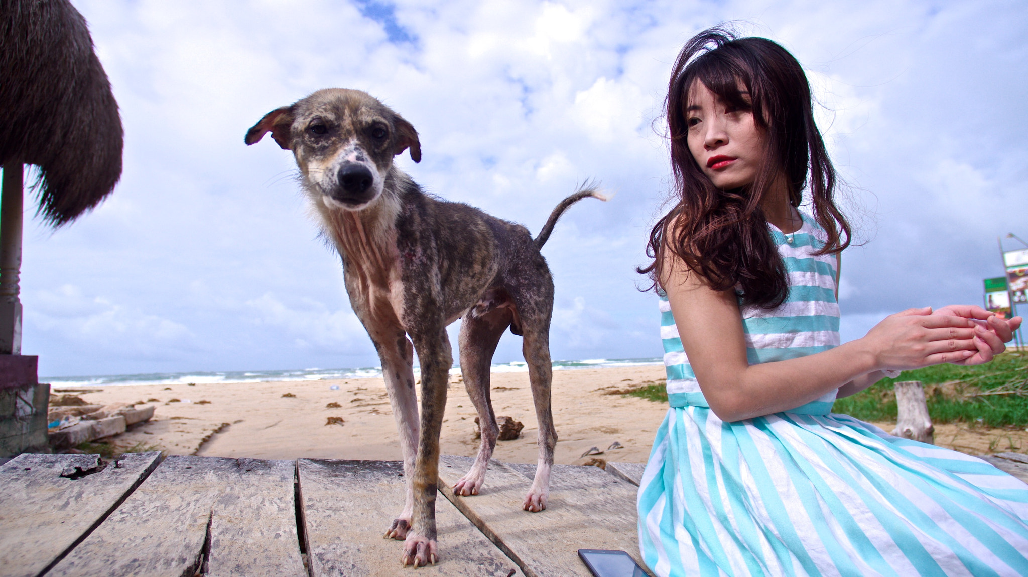 Pentax K-5 + Pentax smc DA 14mm F2.8 ED (IF) sample photo. A scared girl beside with a dog photography