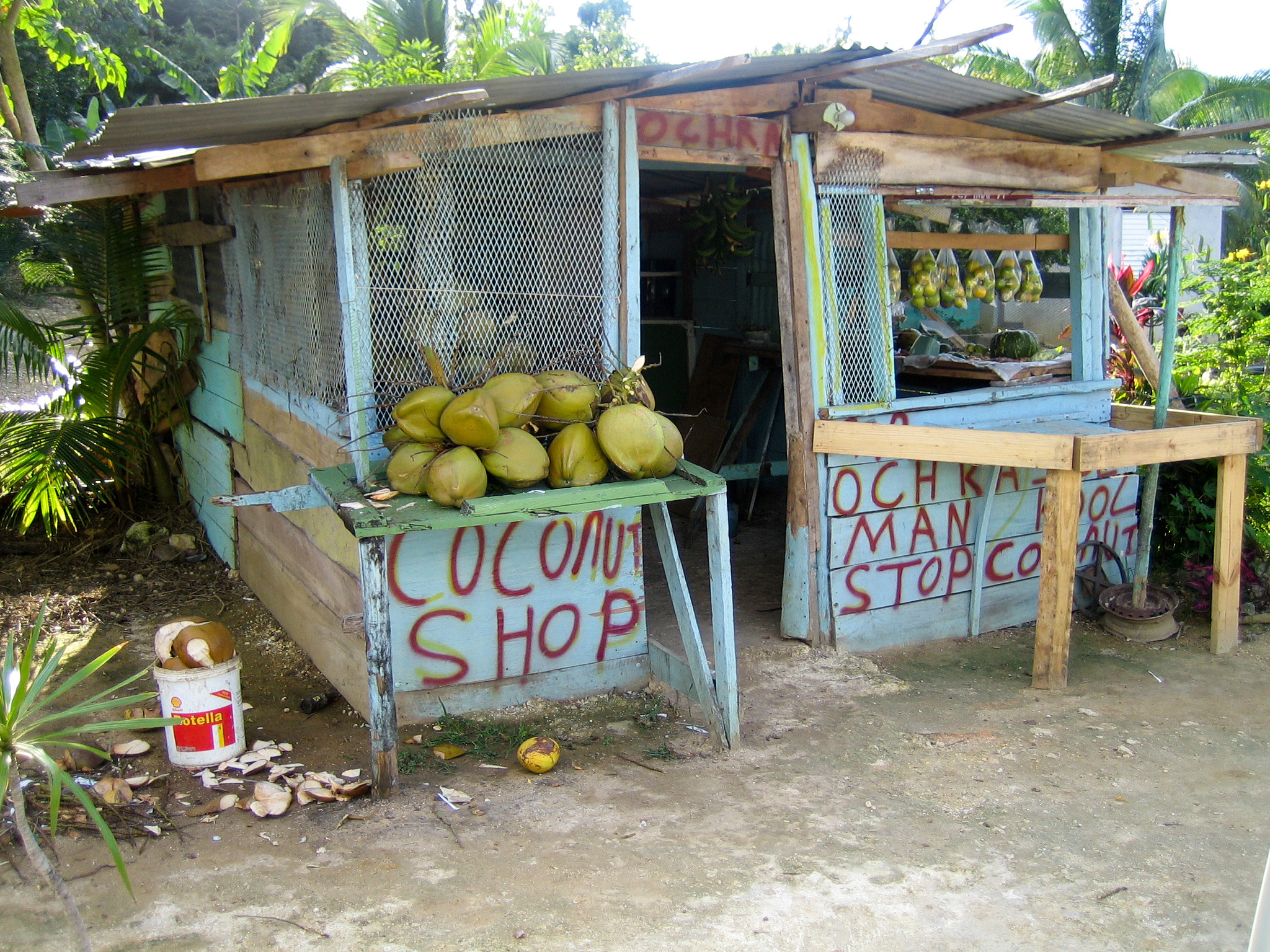 Canon POWERSHOT SD300 sample photo. Coconut shop photography