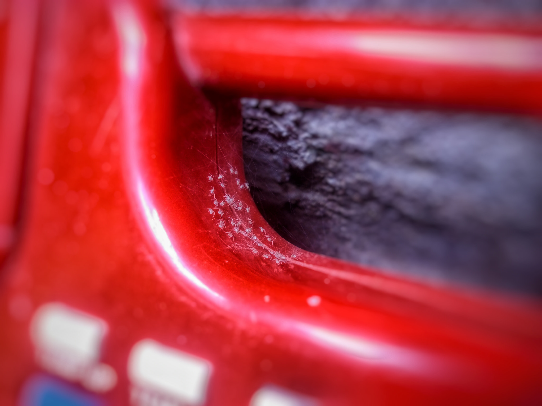 ZTE BLADE V6 sample photo. Zooming! ... photography