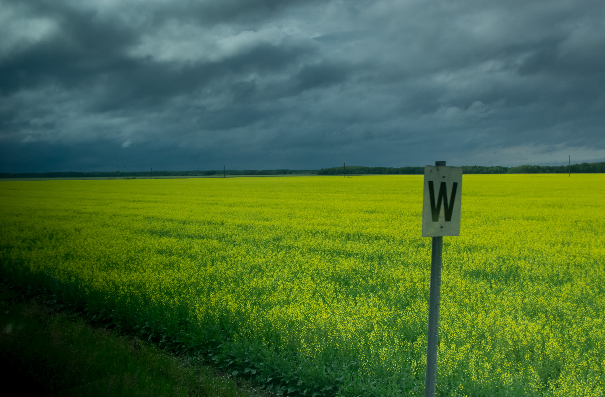 Pentax smc DA 18-55mm F3.5-5.6 ED AL II (IF) sample photo. Prairie whistle photography