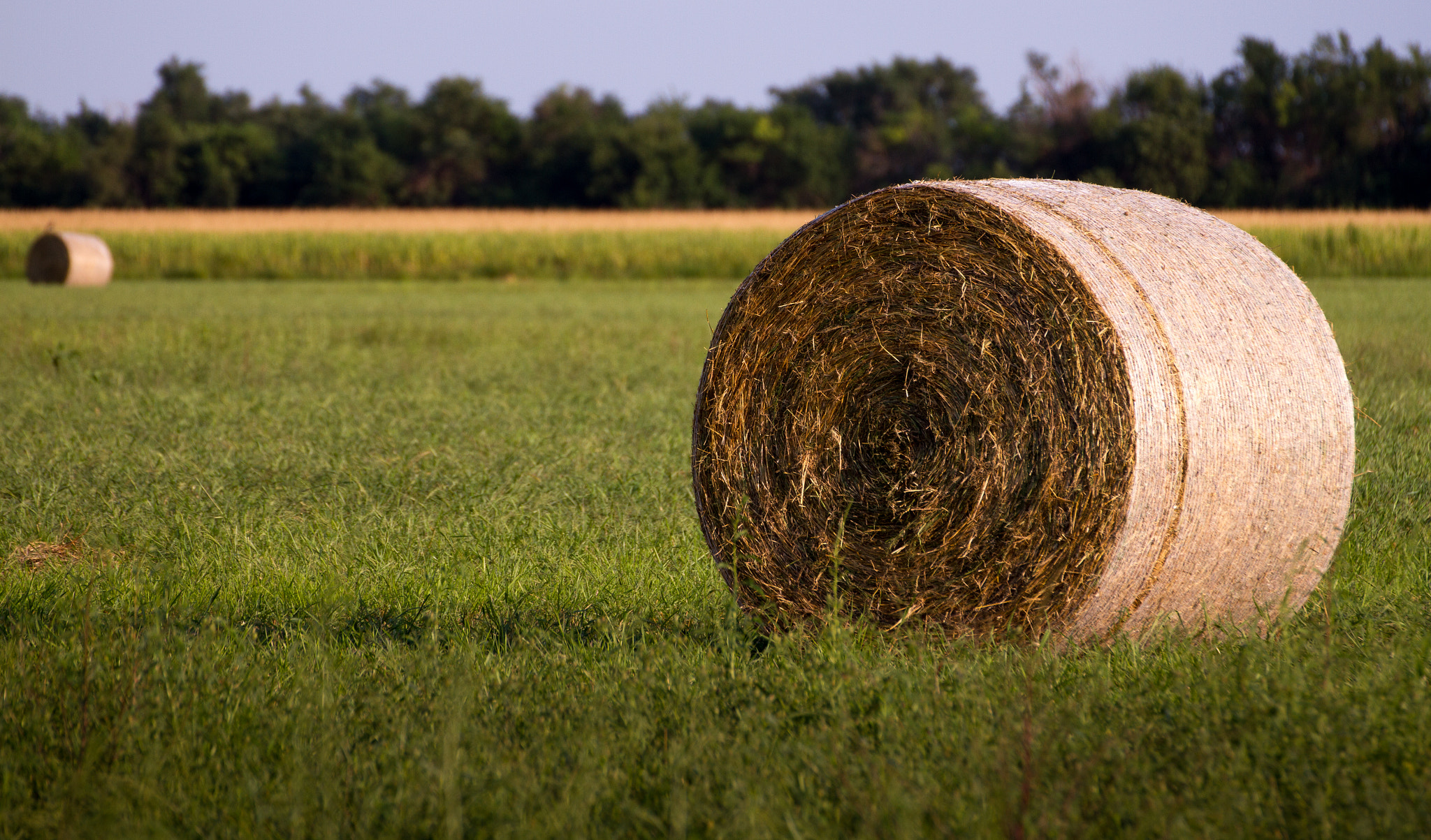 Canon EOS 7D + Tamron SP 70-300mm F4-5.6 Di VC USD sample photo. Countryside hay photography