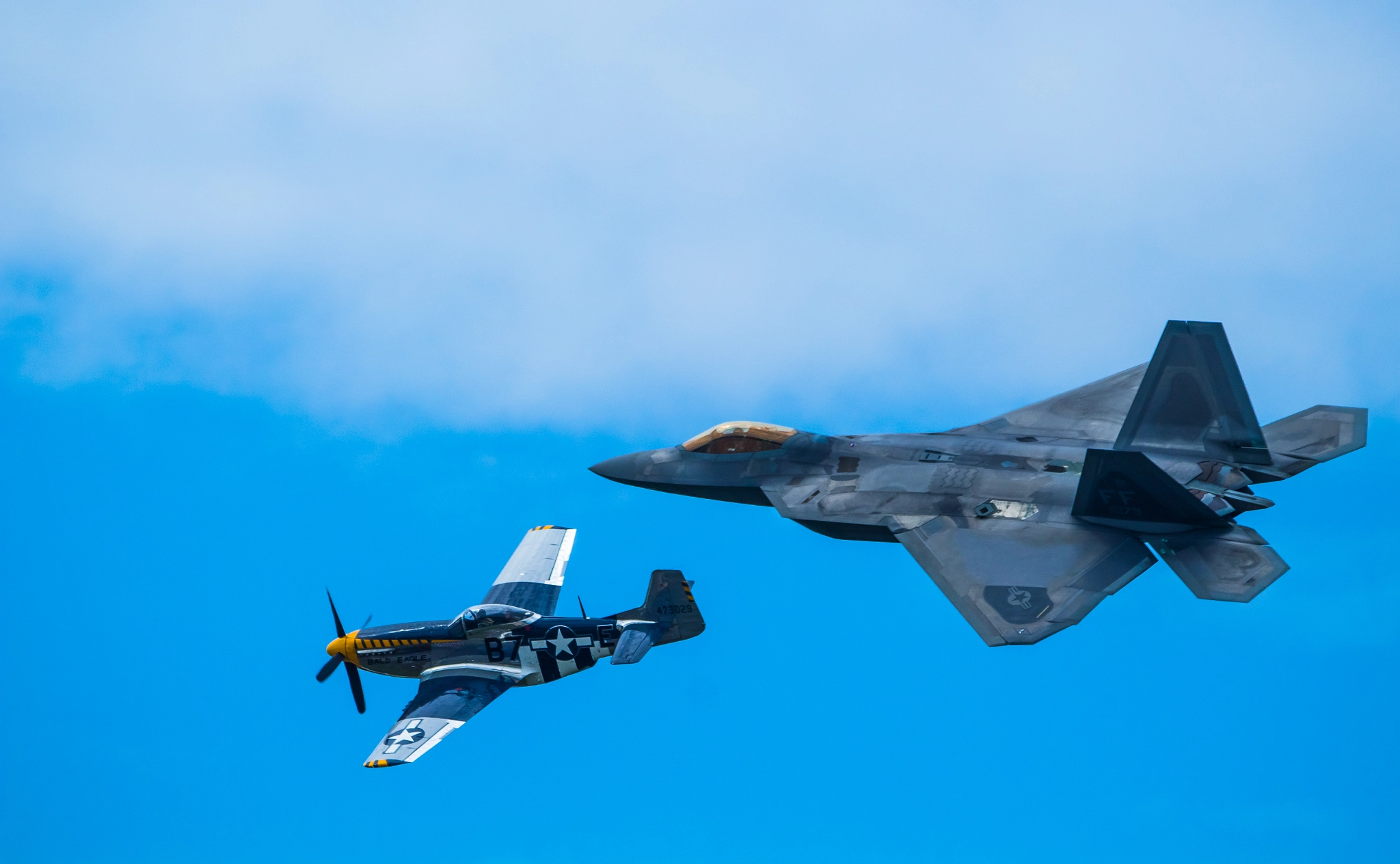 150-600mm F5-6.3 DG OS HSM | Contemporary 015 sample photo. Mustang & raptor photography