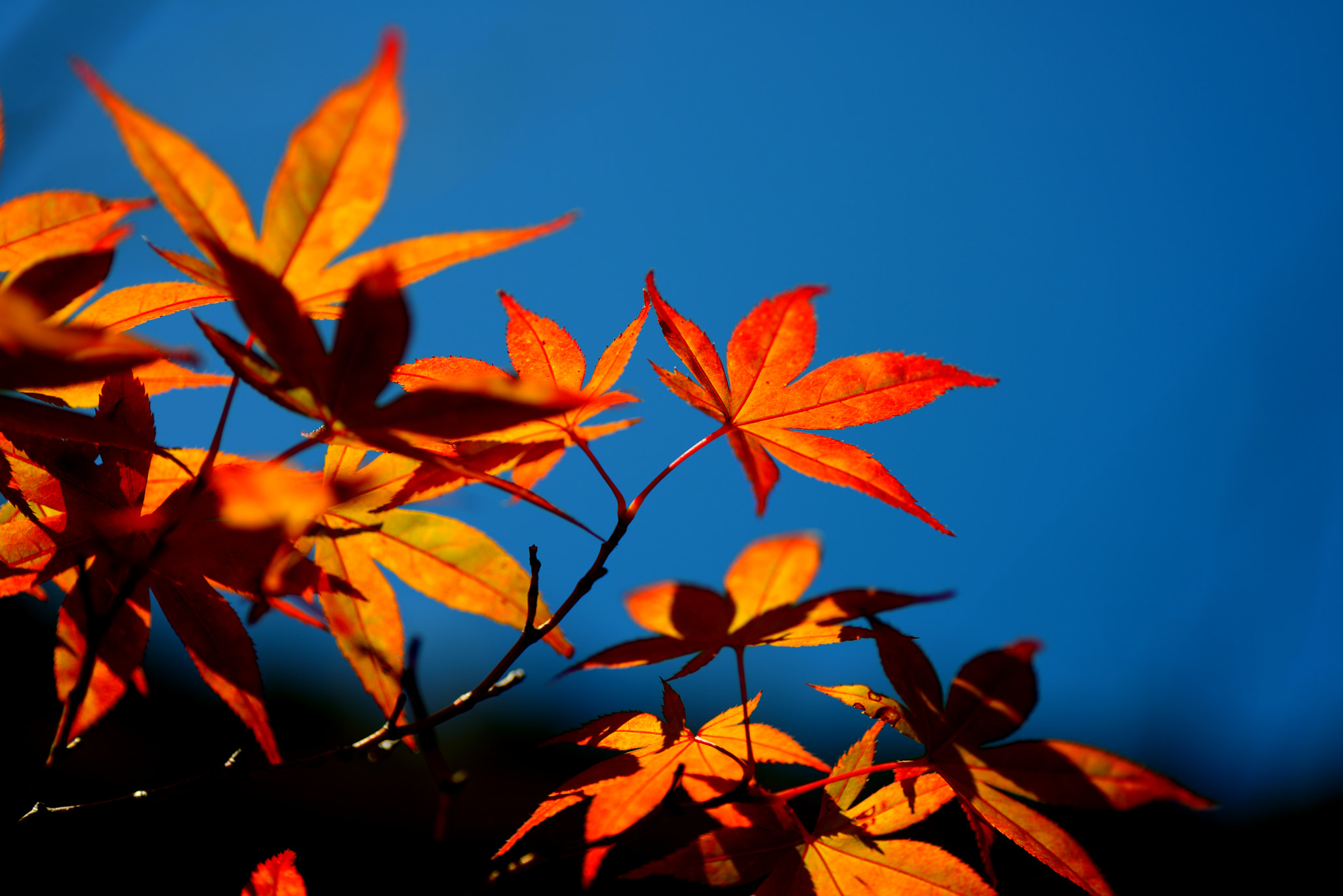 Nikon D600 sample photo. At the change of seasons photography