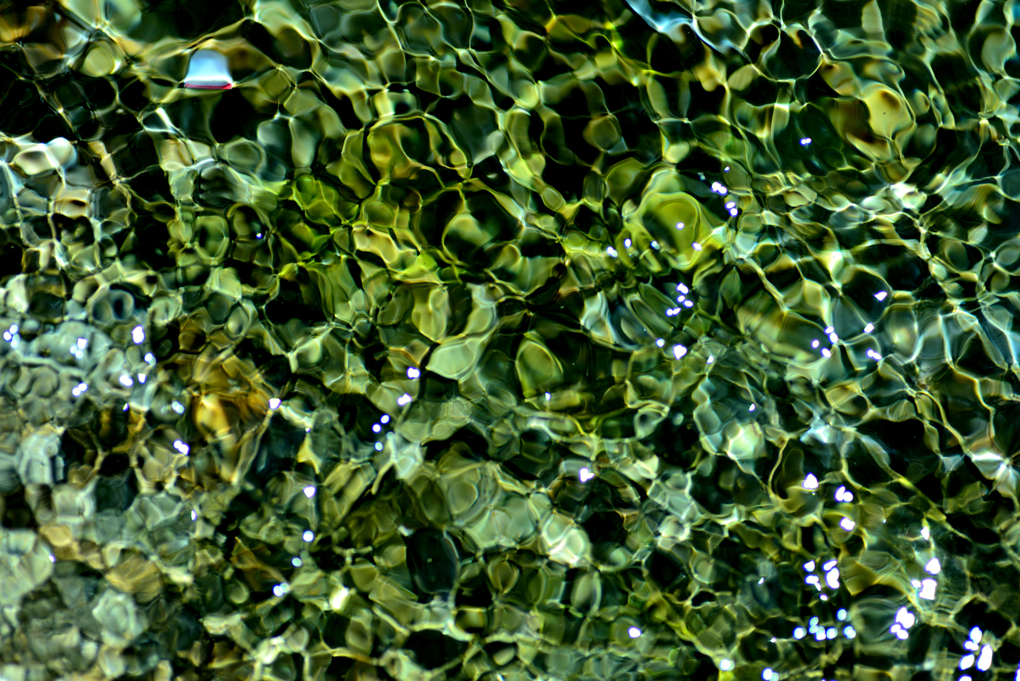 Nikon D600 sample photo. Luster photography
