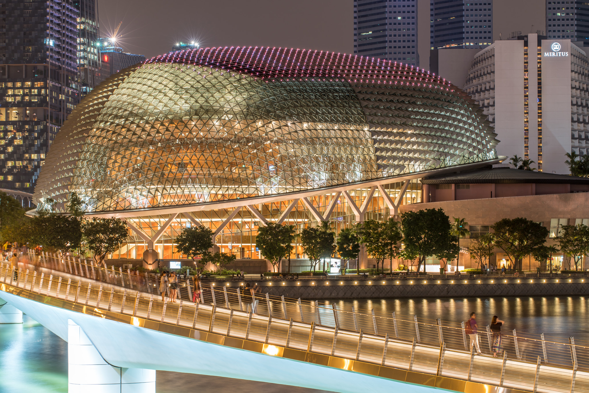 Sony a7R II + Canon EF 100mm F2.8L Macro IS USM sample photo. Singapore esplanade photography