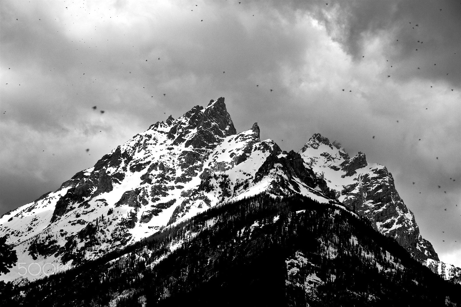 Canon EOS 100D (EOS Rebel SL1 / EOS Kiss X7) sample photo. Mountain with halo of flies photography