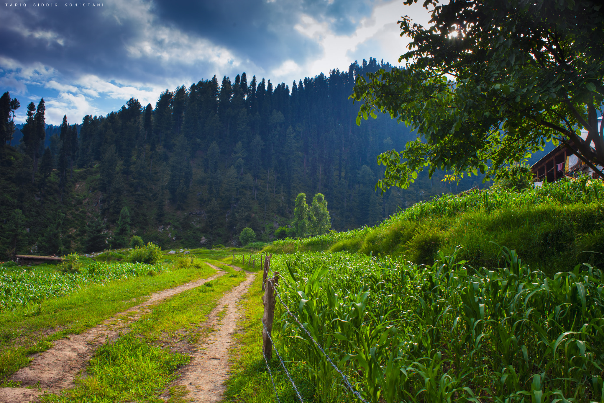 Canon EF 28-80mm f/3.5-5.6 sample photo. Lalku village photography