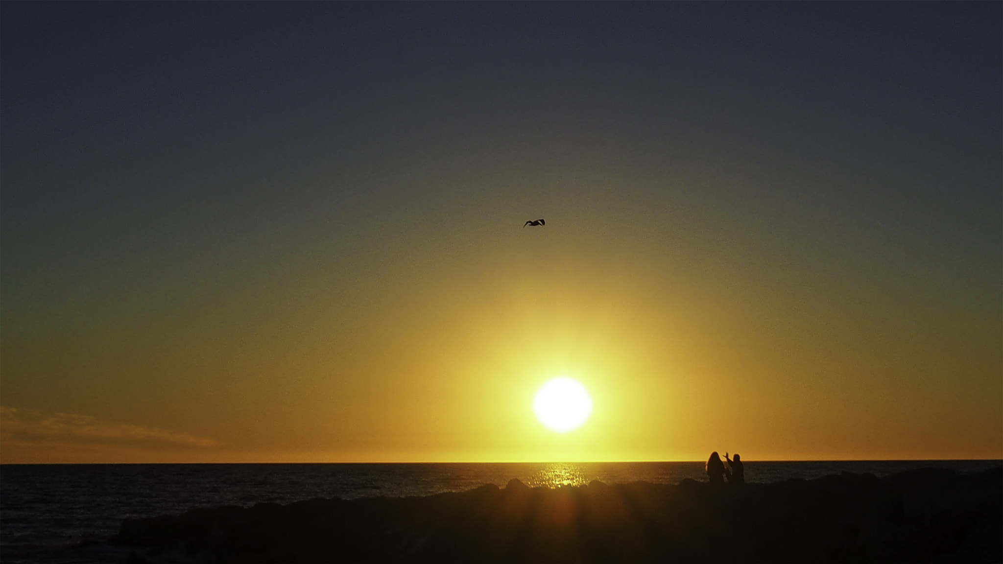 OLYMPUS M.14-150mm F4.0-5.6 II sample photo. Sunset couple blue sky photography