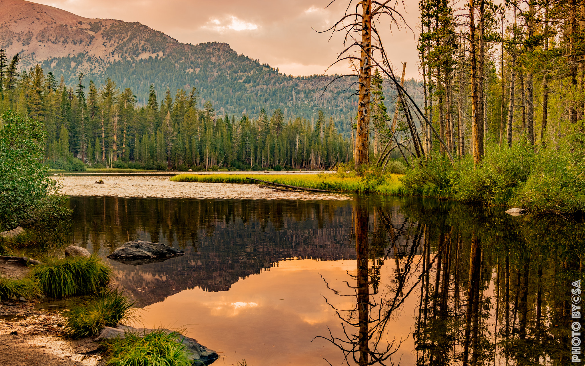 Nikon AF-S Nikkor 24-70mm F2.8E ED VR sample photo. Reflections of nature photography