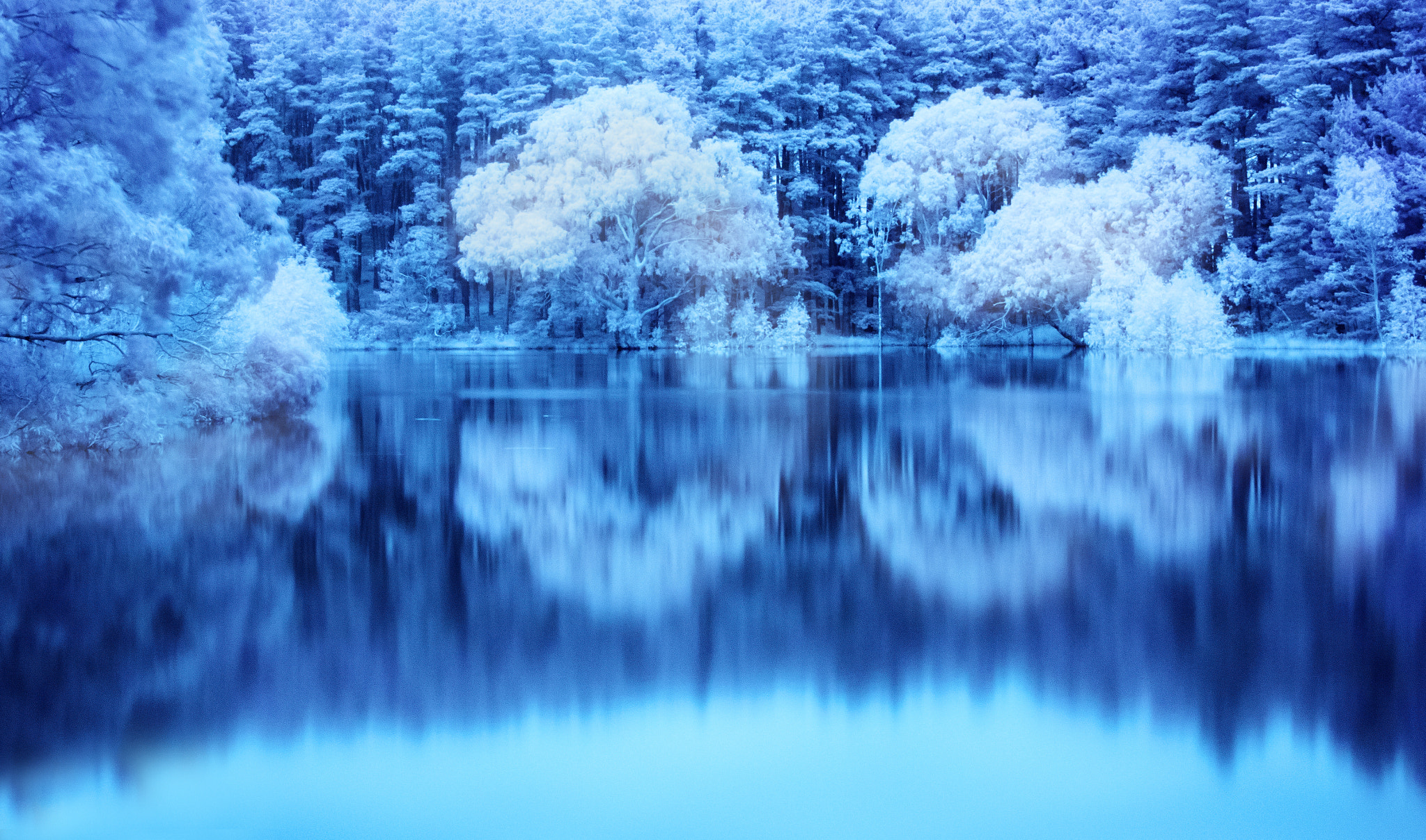 Canon EF 40mm F2.8 STM sample photo. Myponga infrared photography