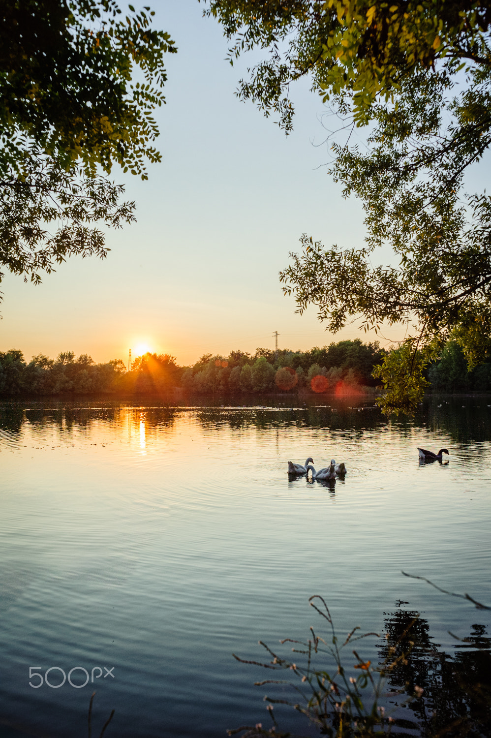 Sigma 24mm F2.8 Super Wide II Macro sample photo. Little lake photography