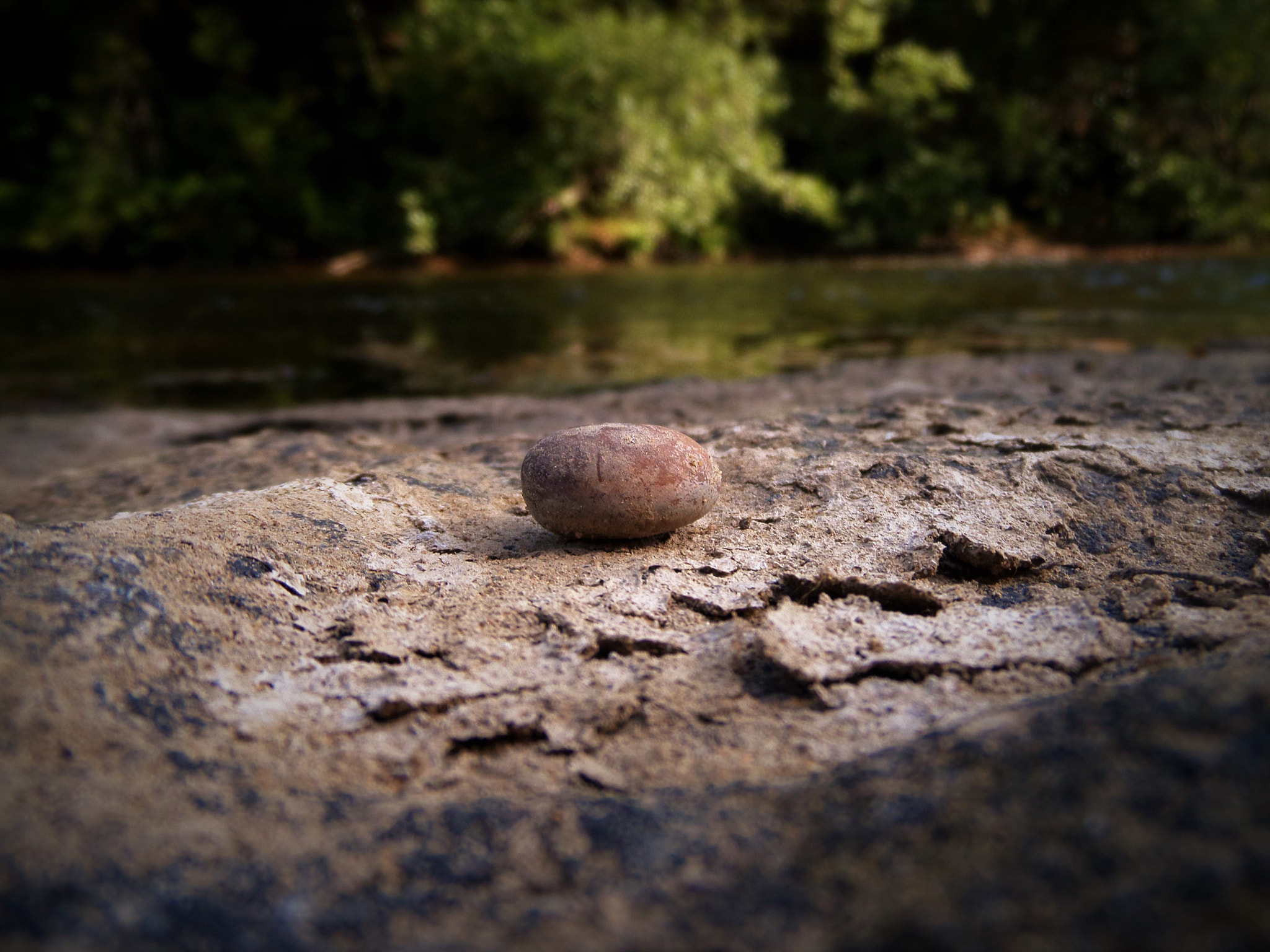 Samsung WB200F/WB201F/WB202F sample photo. Tiny bolder photography