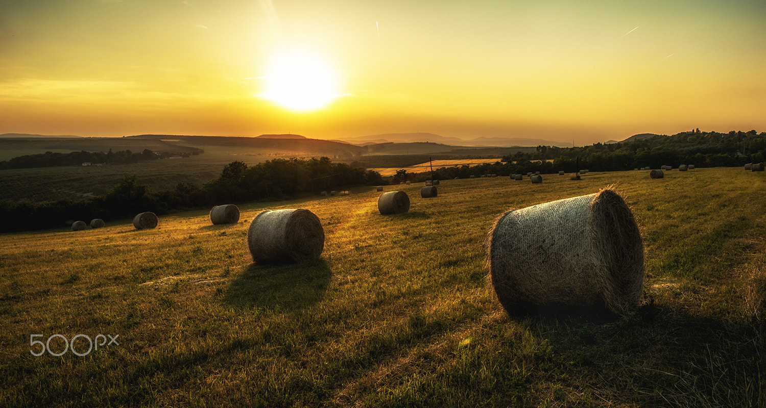 Sony Alpha DSLR-A900 + Tamron SP 24-70mm F2.8 Di VC USD sample photo. Hill side photography