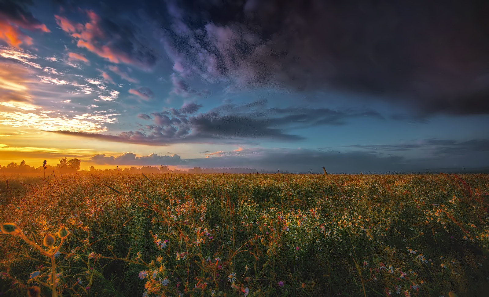 Sigma 8-16mm F4.5-5.6 DC HSM sample photo. *** photography