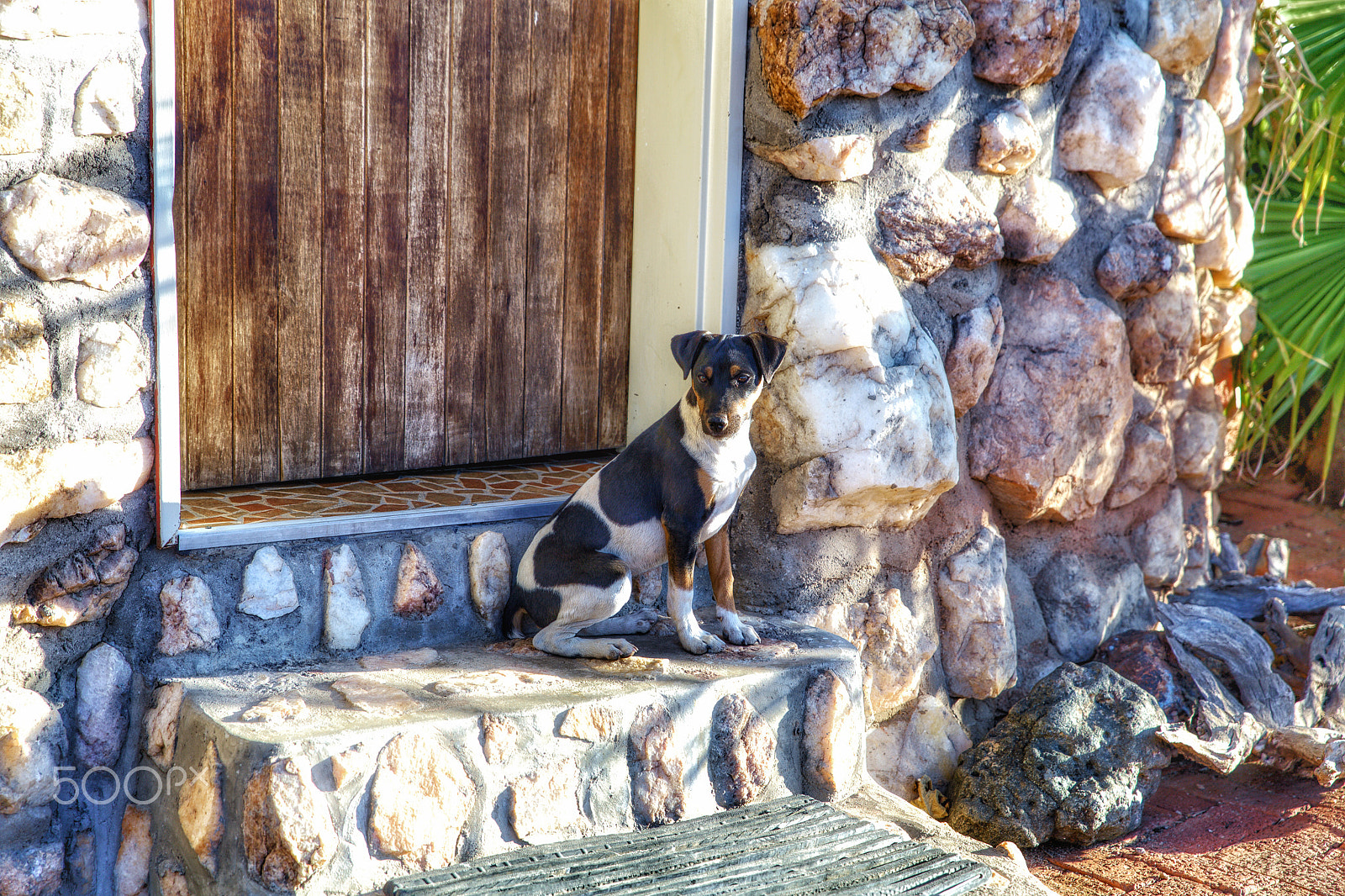 Canon 24-70mm sample photo. Waiting photography