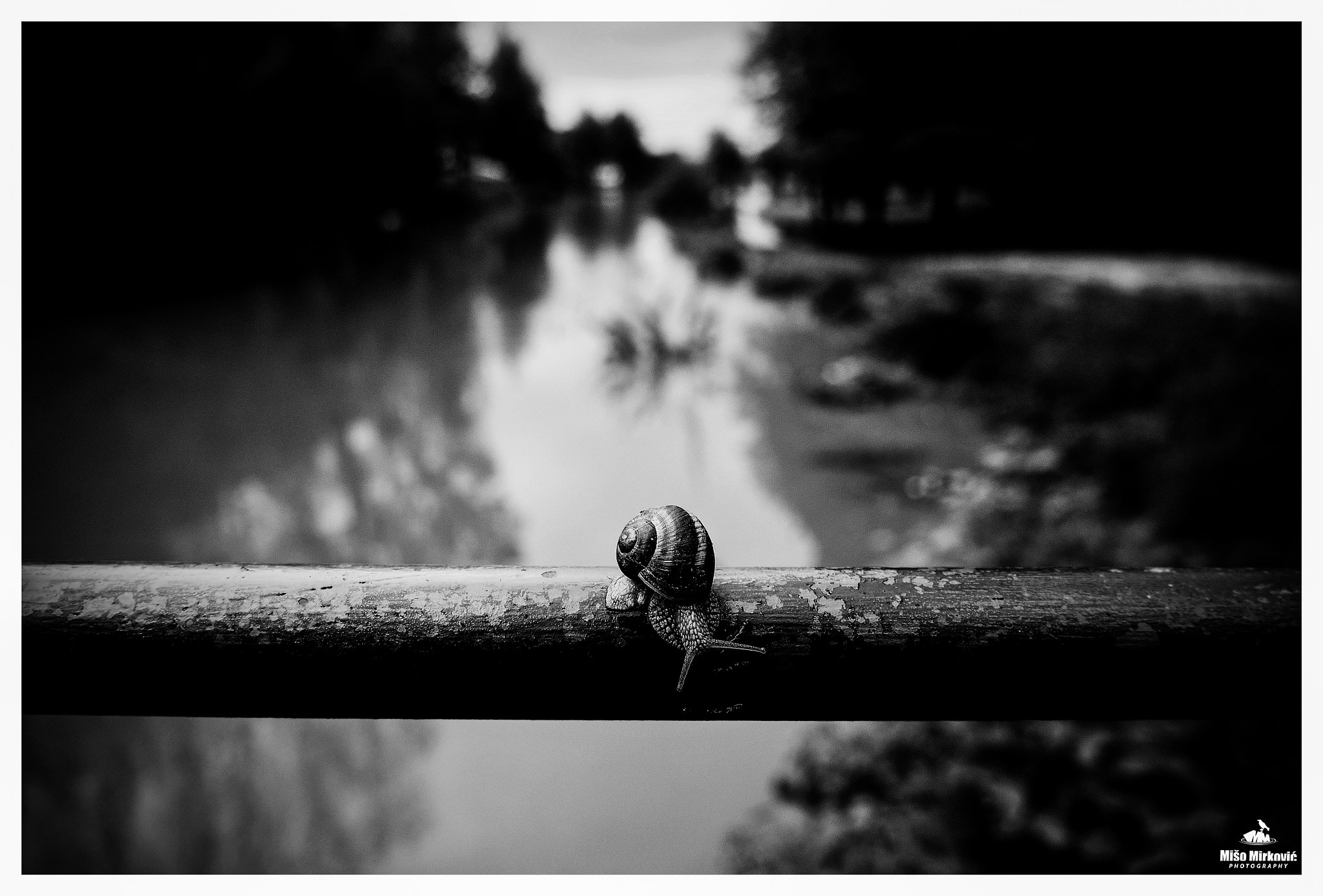Panasonic Lumix DMC-GH3 sample photo. Flood photography