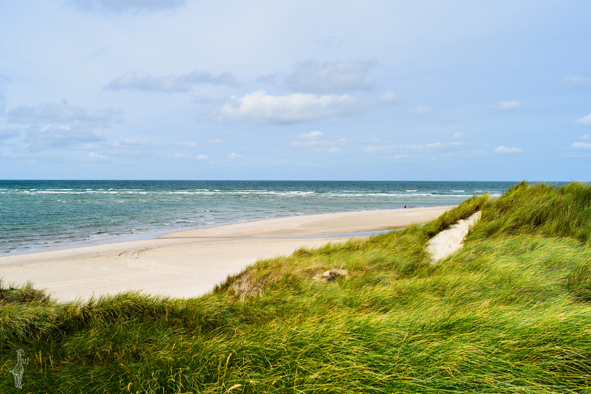 Nikon D600 + AF Nikkor 50mm f/1.8 sample photo. Green and sand photography