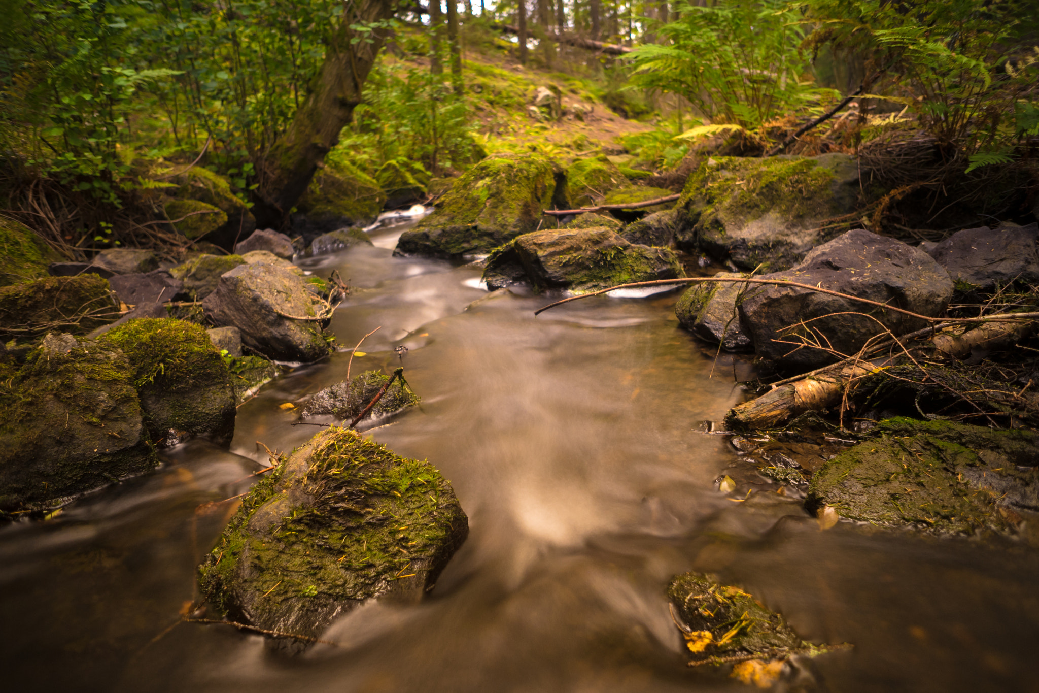 Sony a7 + Sony E 16mm F2.8 sample photo. Stream photography