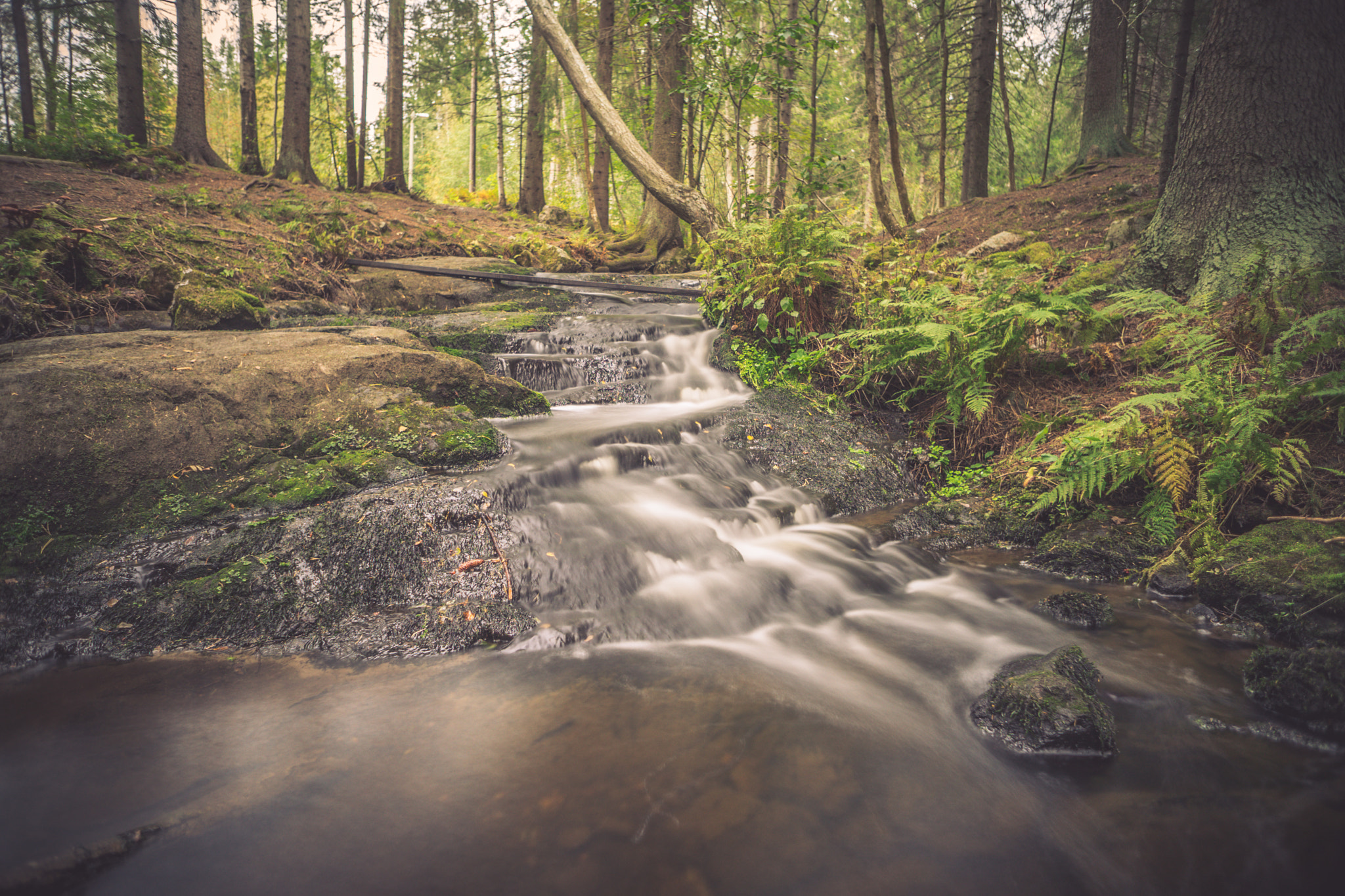 Sony a7 + Sony E 16mm F2.8 sample photo. Stream photography
