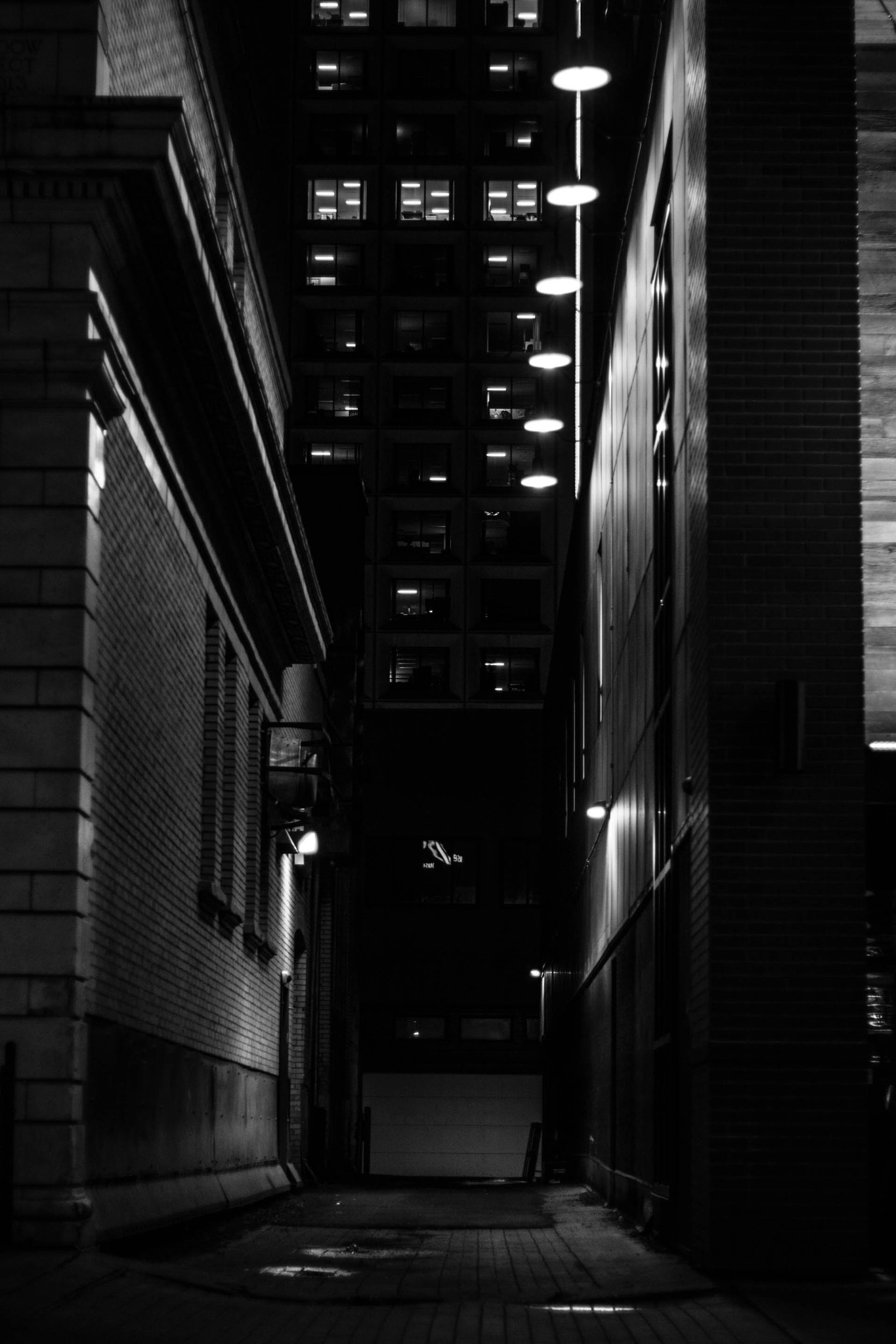 Canon EOS 760D (EOS Rebel T6s / EOS 8000D) sample photo. Follow the light photography