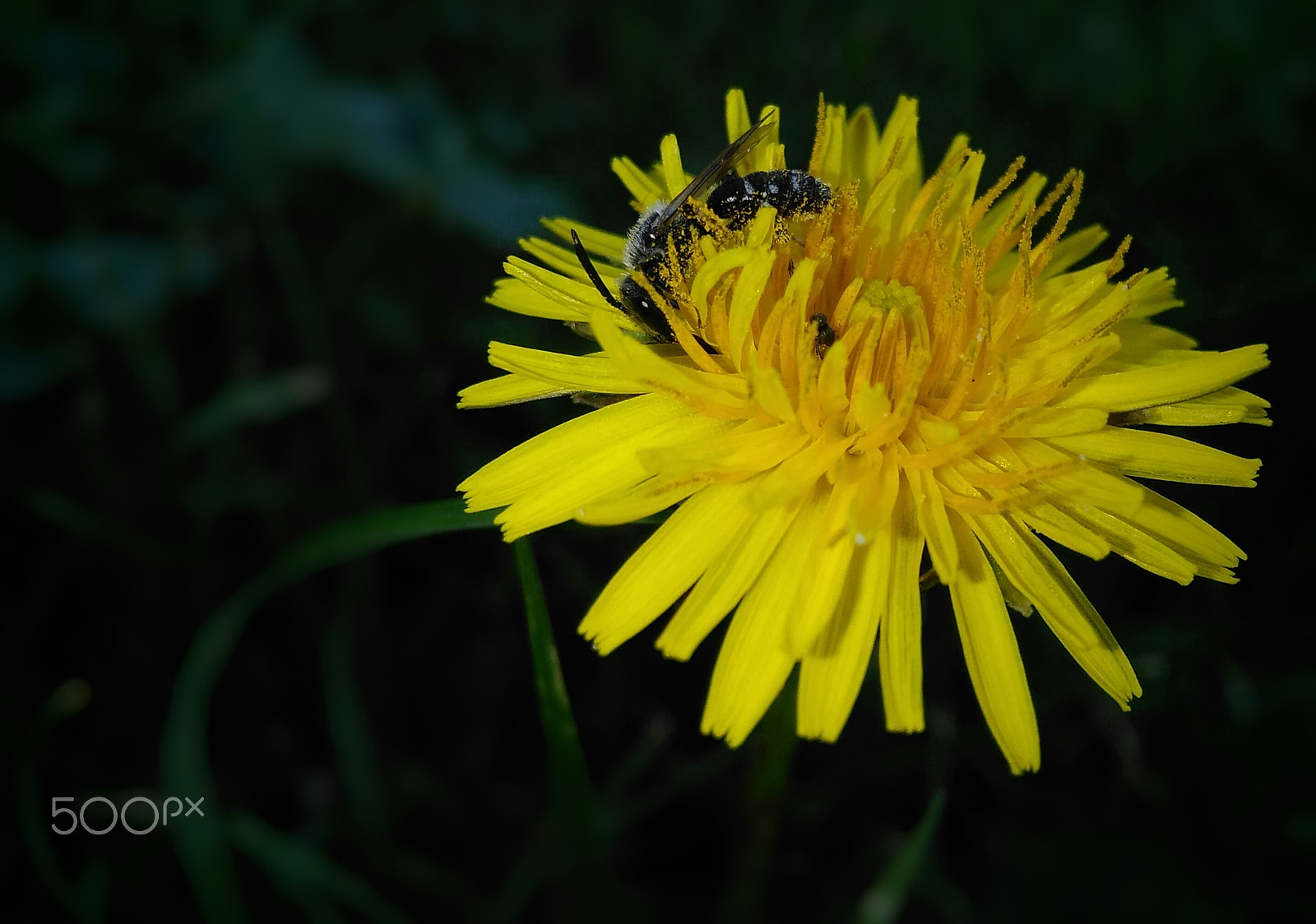 HUAWEI G620S-L01 sample photo. The last day at work photography