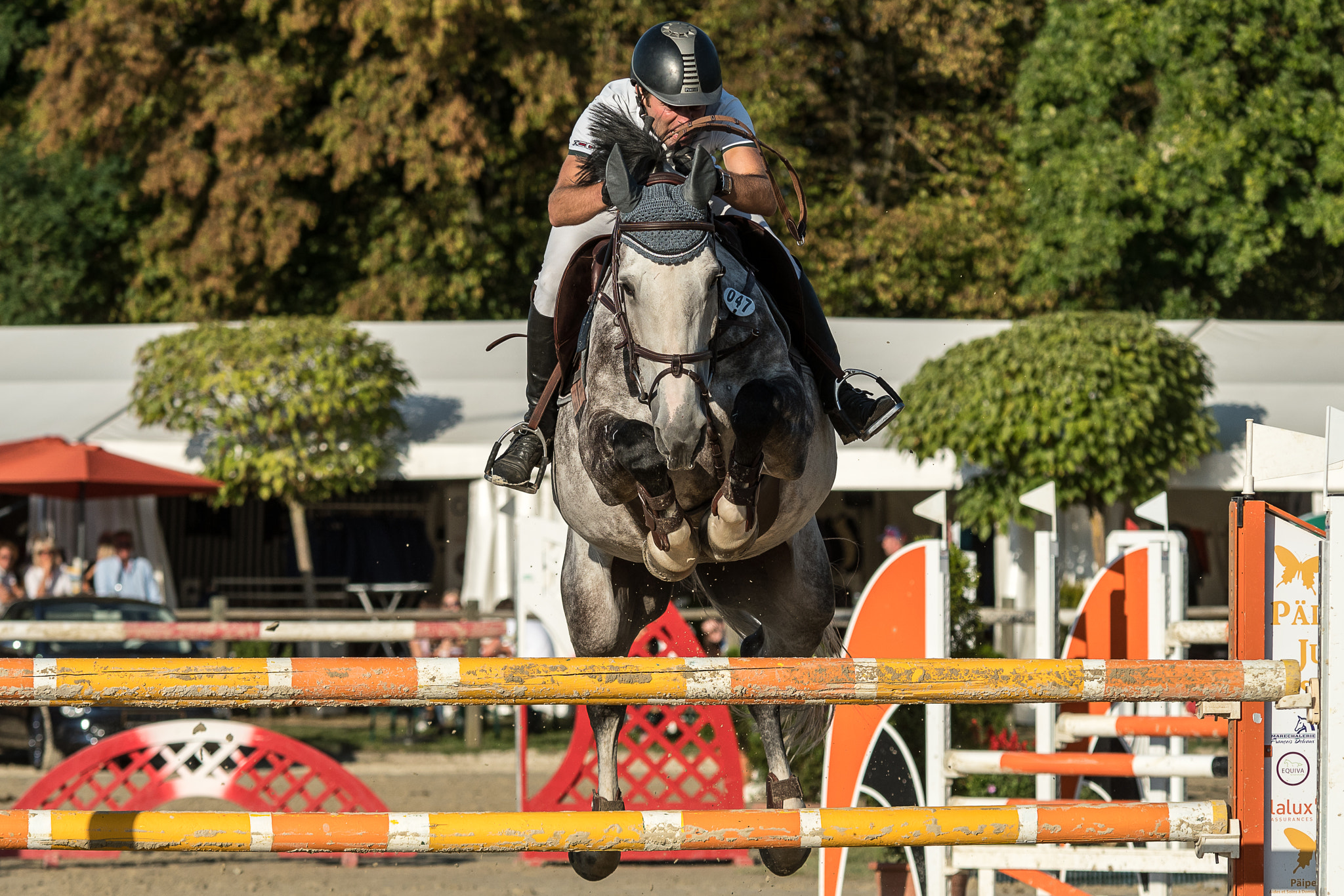 Sigma 70-200mm F2.8 EX DG OS HSM sample photo. Flse jumping championship 2 photography