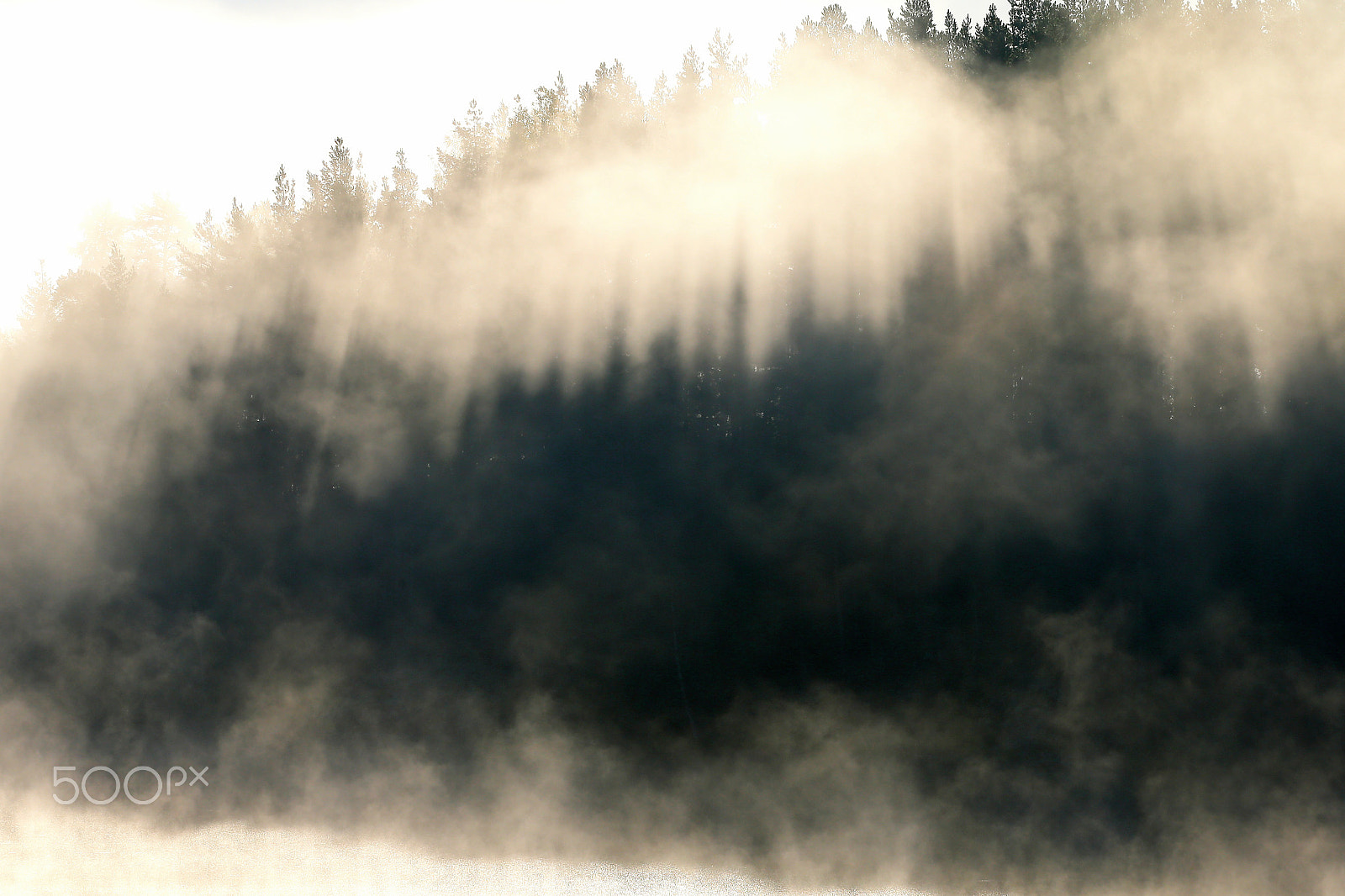 Canon EF 300mm F2.8L IS USM sample photo. Morning fog photography