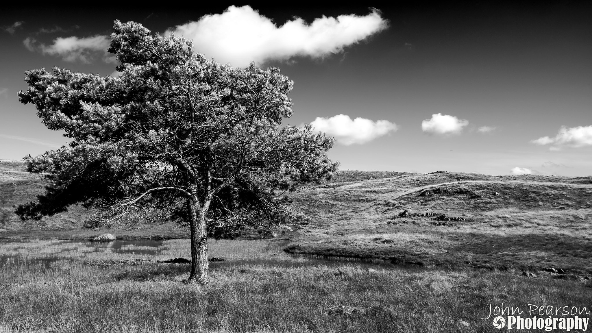 Pentax K-50 sample photo. Tarn tree photography