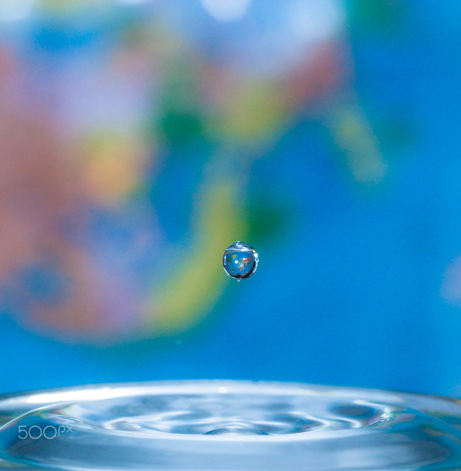 Canon EF-S 60mm F2.8 Macro USM sample photo. World in drop of water photography