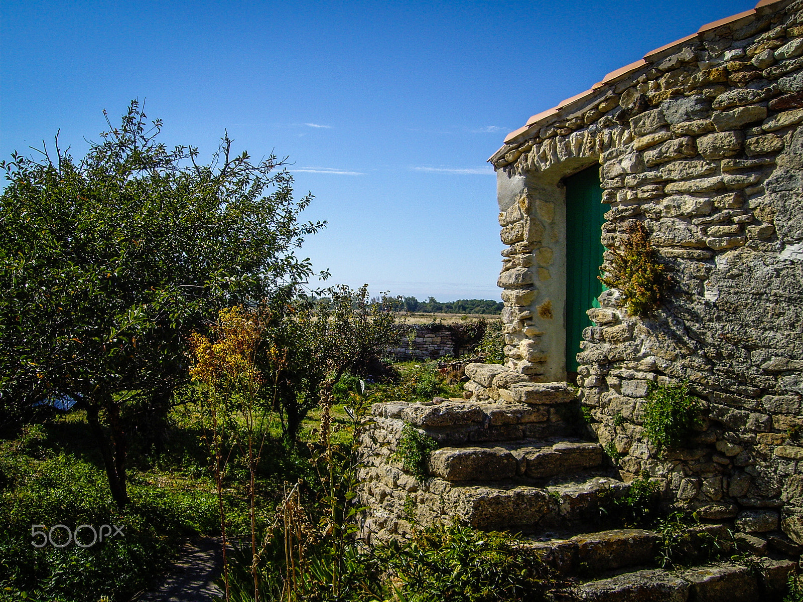 Pentax OPTIO S7 sample photo. Old stones photography