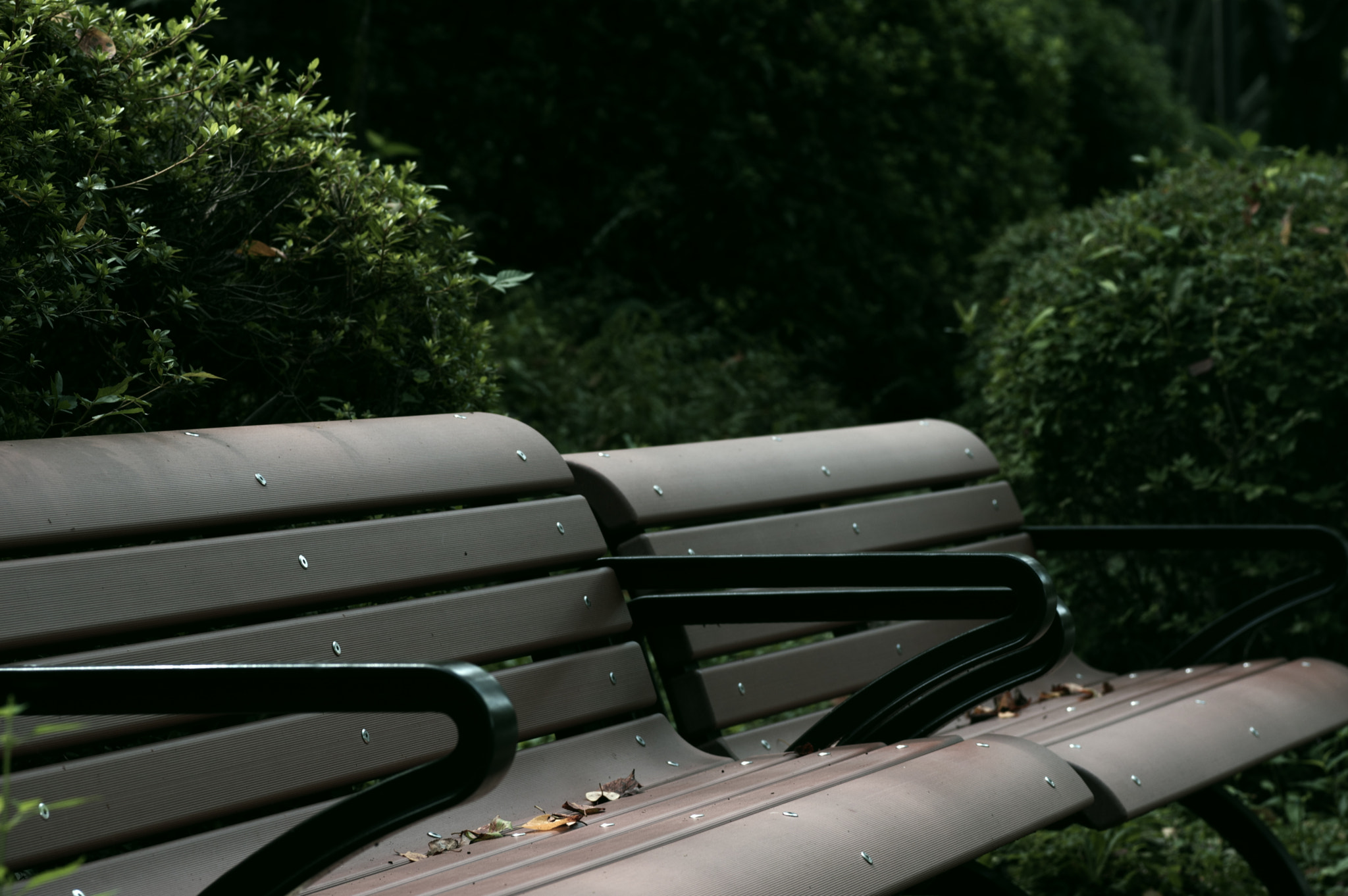 Pentax smc FA 77mm 1.8 Limited sample photo. The benches... photography