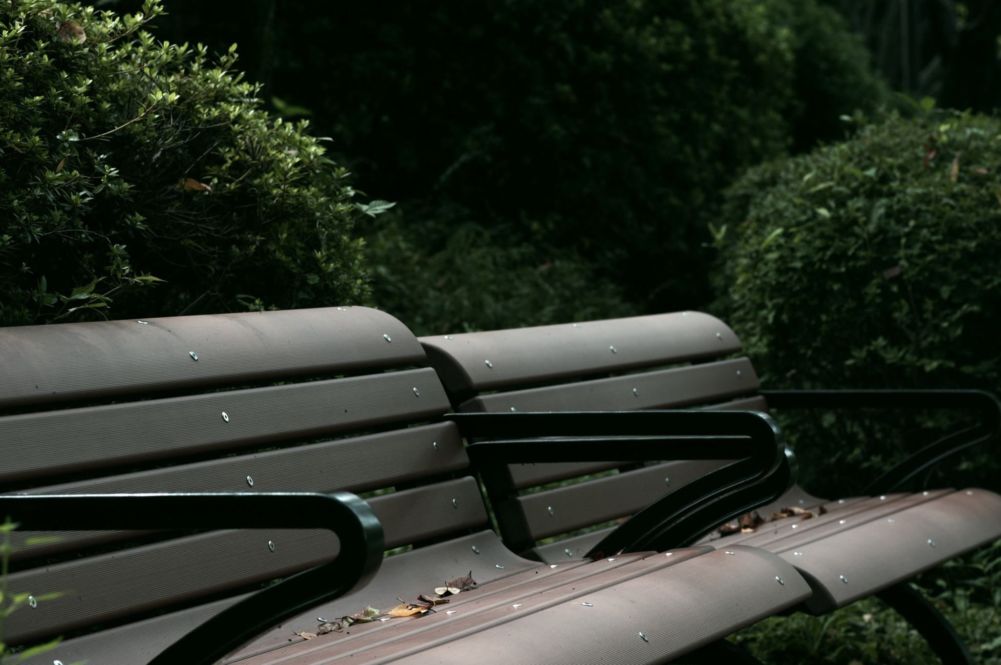 Pentax K-3 + Pentax smc FA 77mm 1.8 Limited sample photo. The benches... photography