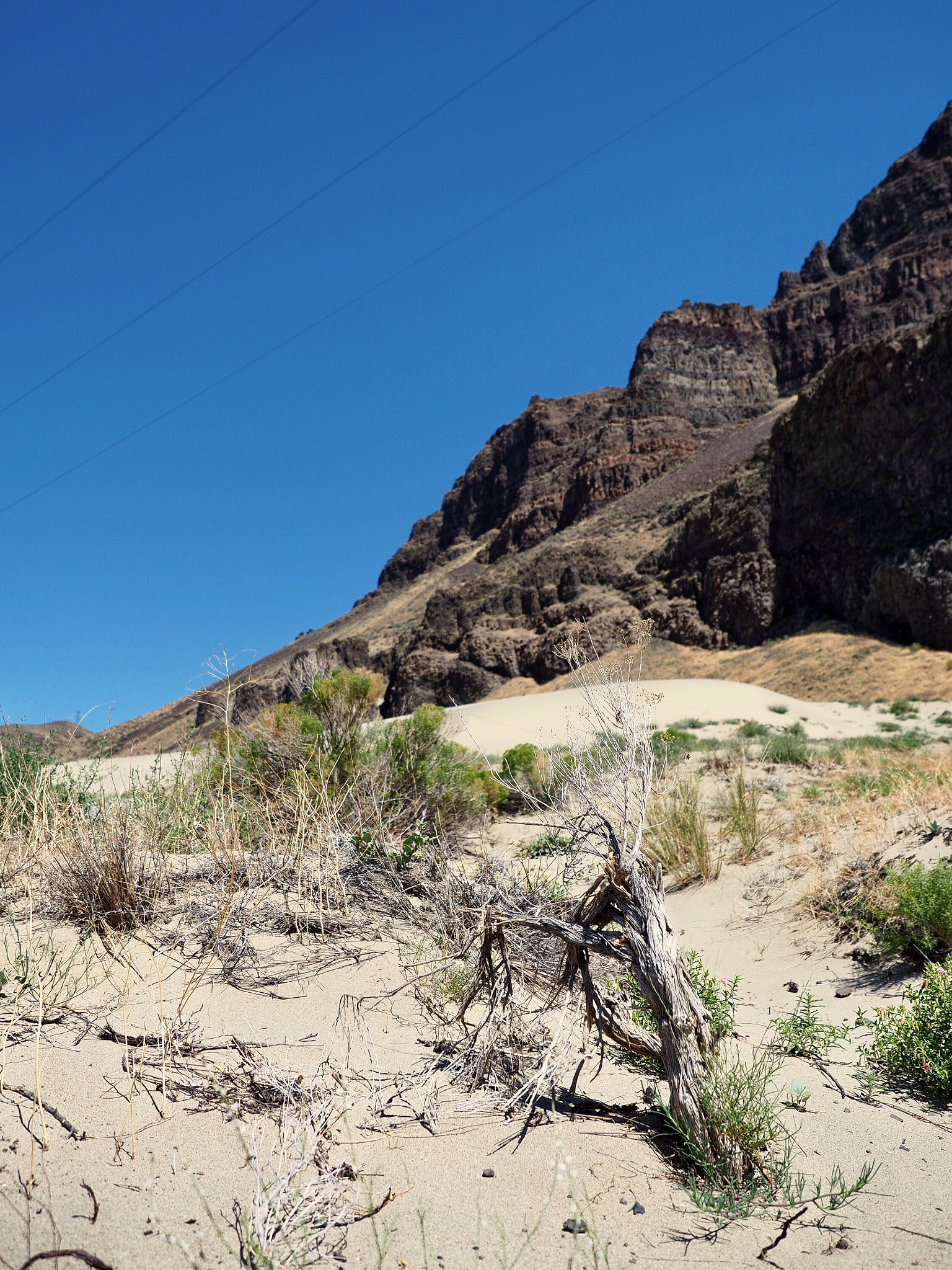 Olympus OM-D E-M5 II + Olympus M.Zuiko Digital ED 12-40mm F2.8 Pro sample photo. Heat on the snake river photography