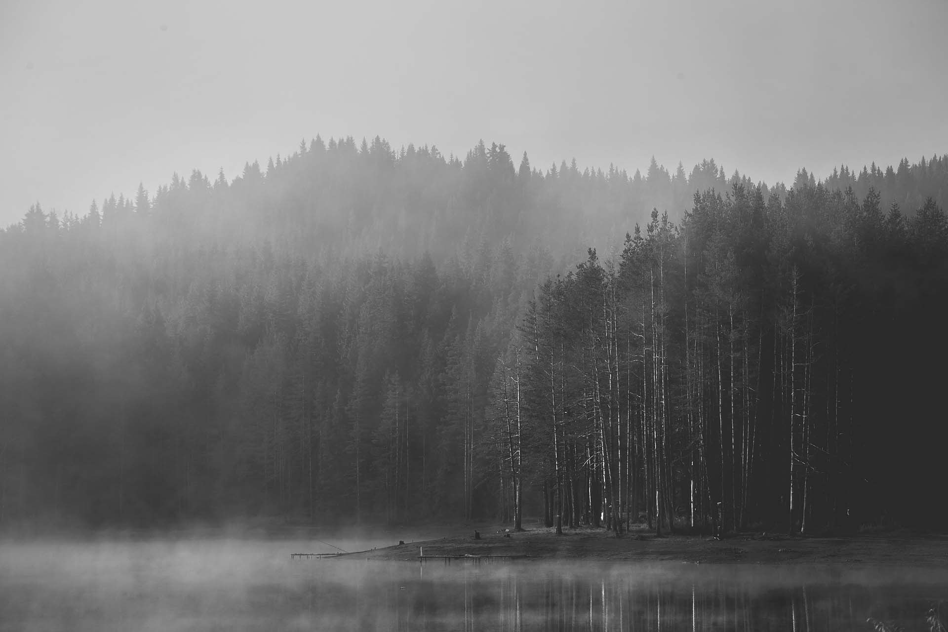 Canon EF 75-300mm f/4-5.6 USM sample photo. Beglik b&w photography